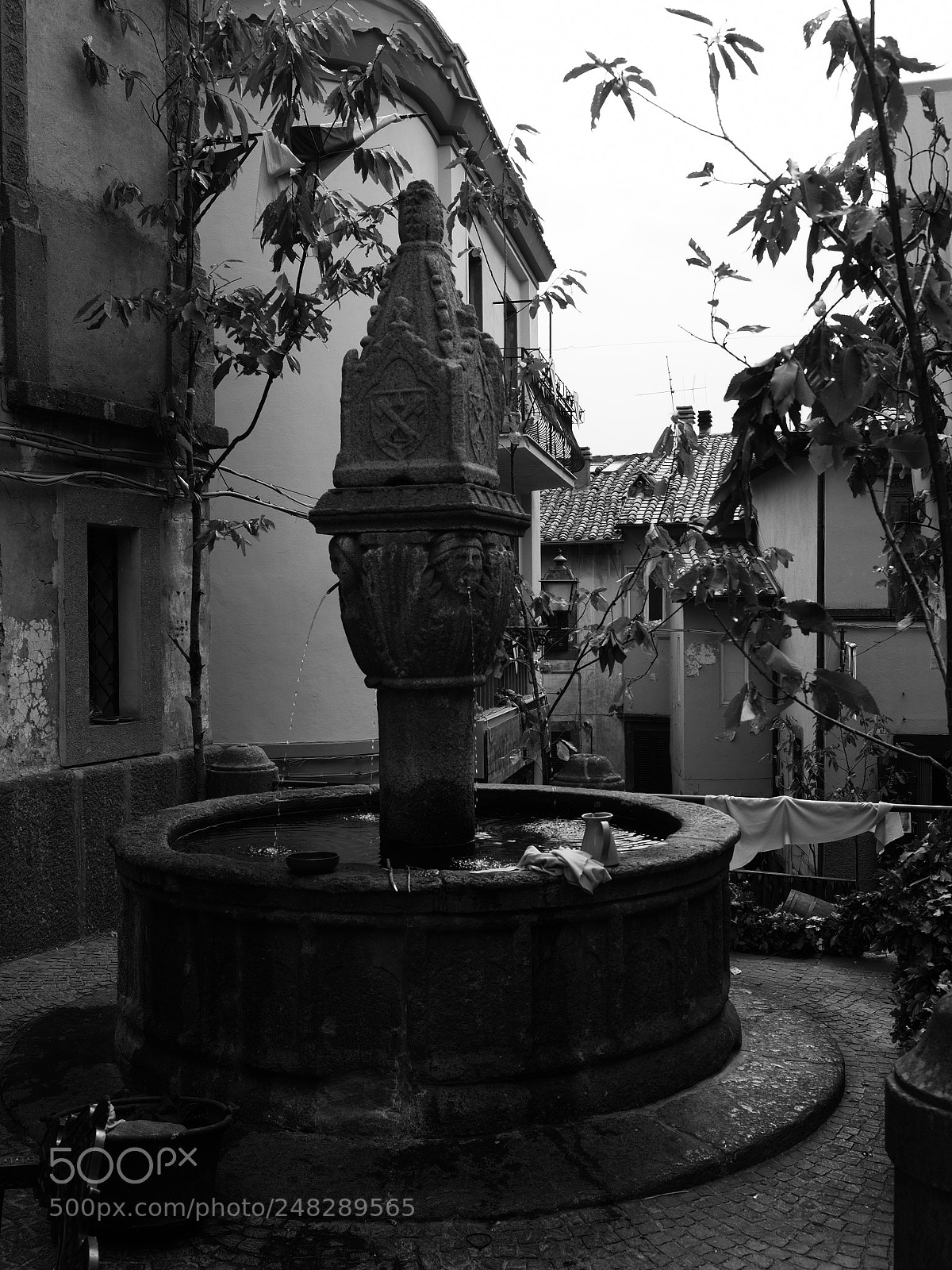 Olympus OM-D E-M1 Mark II sample photo. Soriano nel cimino 17pa010033 photography