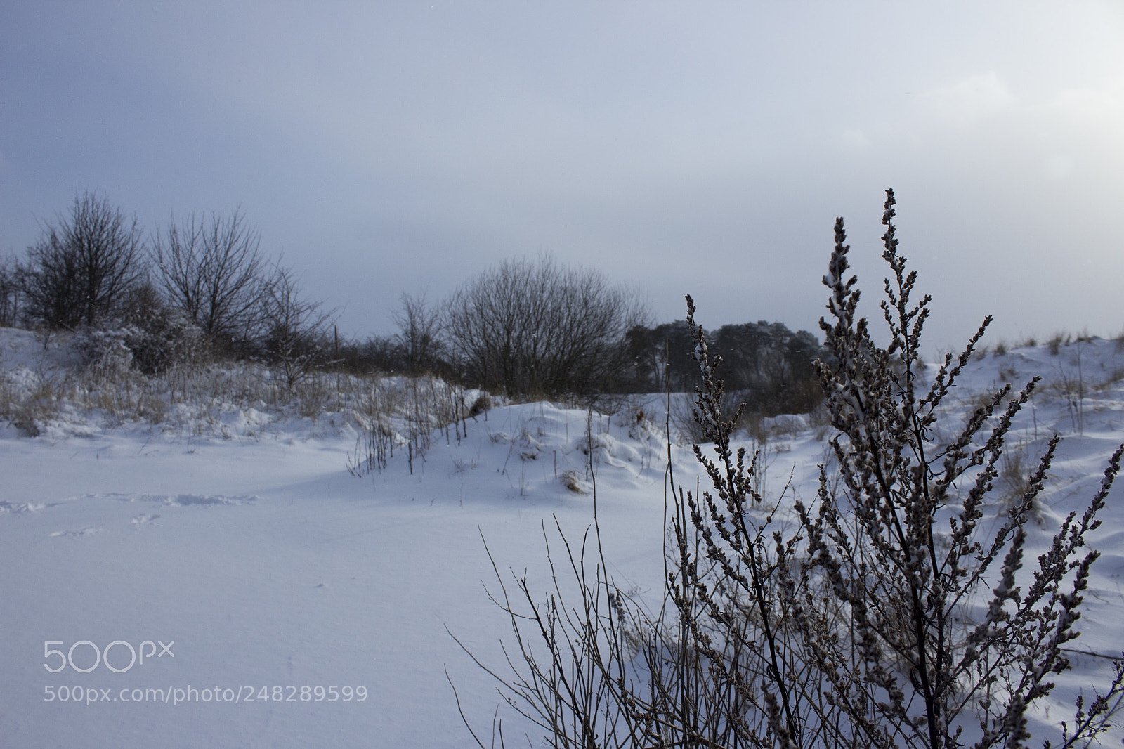Canon EOS 1200D (EOS Rebel T5 / EOS Kiss X70 / EOS Hi) sample photo. Swedish snowfall photography