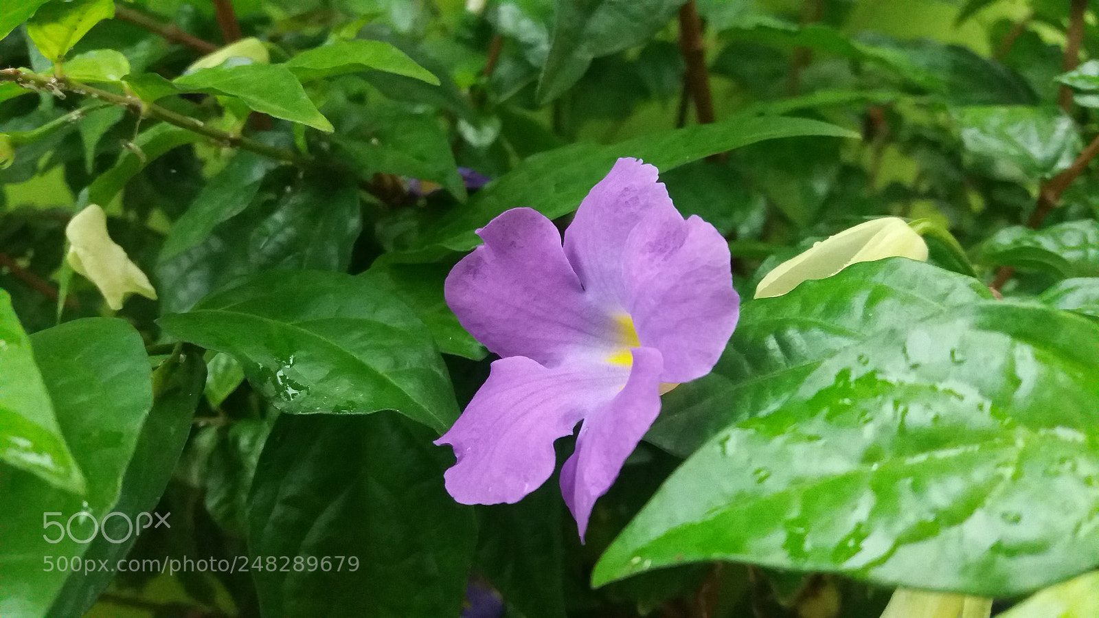 Samsung Galaxy J5 sample photo. Untitled photography