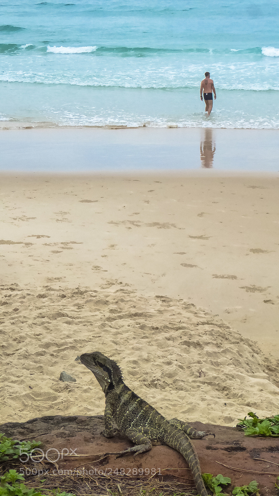 Panasonic Lumix DMC-ZS50 (Lumix DMC-TZ70) sample photo. Byron bay photography