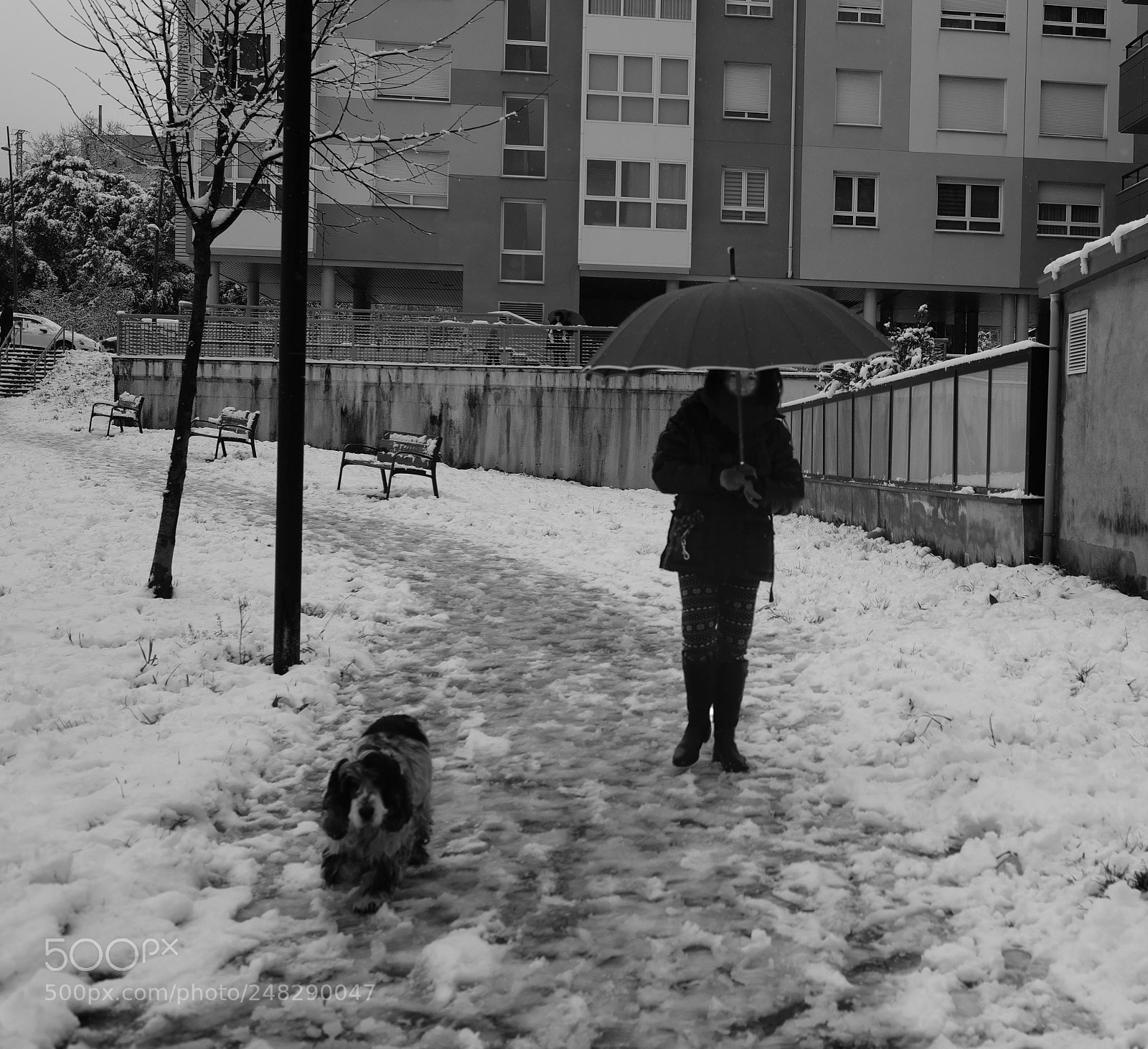 Fujifilm X-Pro2 sample photo. Bermeo, snow18 photography