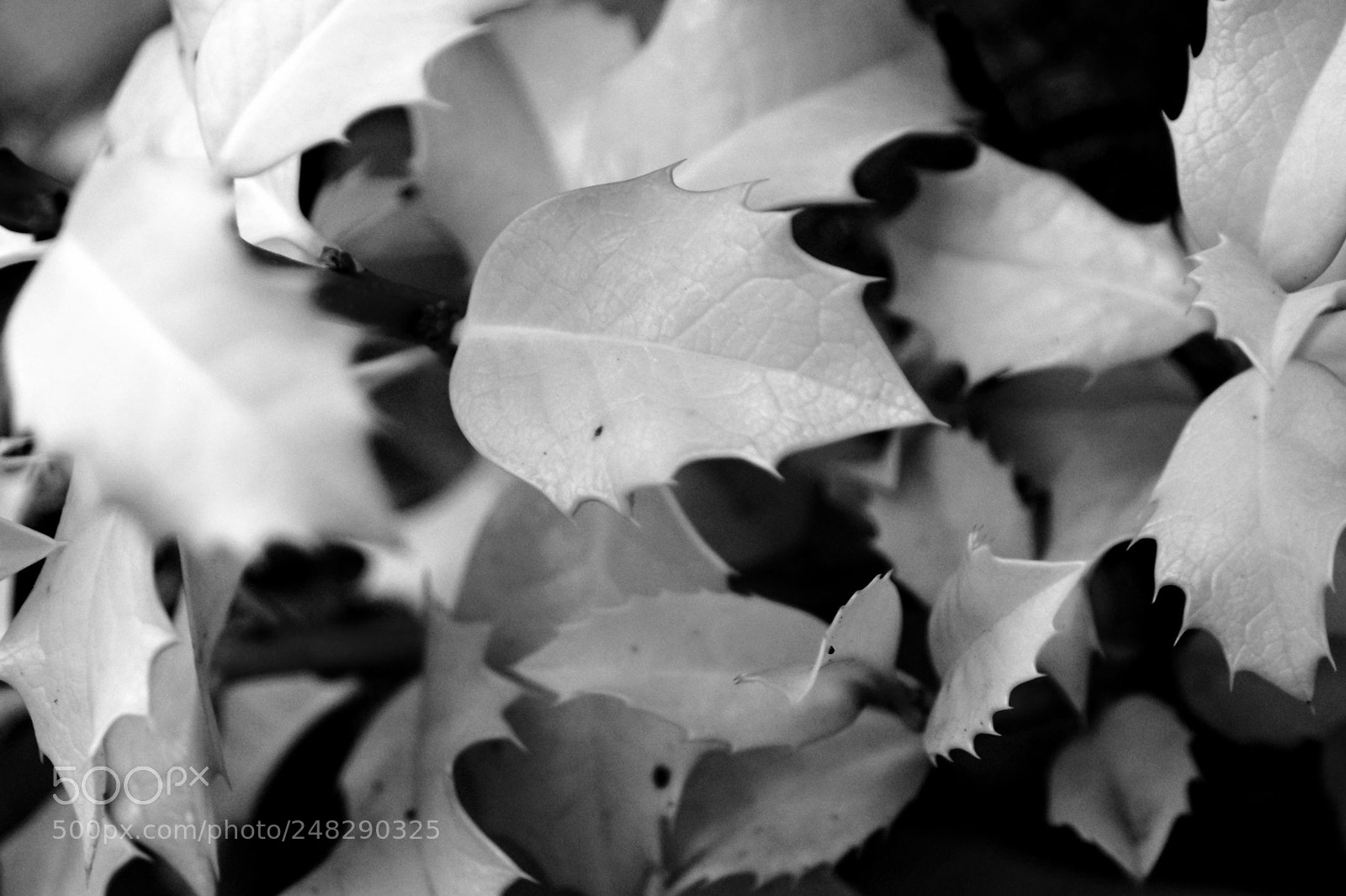 Canon EOS M10 sample photo. Untitled photography
