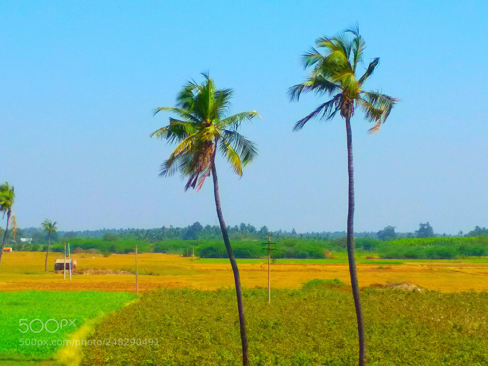 Xiaomi Redmi 4 Pro sample photo. Untitled photography