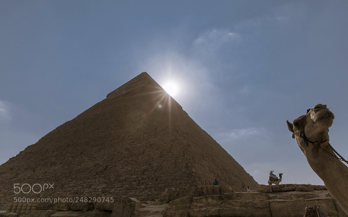 Canon EOS 5D Mark IV sample photo. Pyramid and camels photography