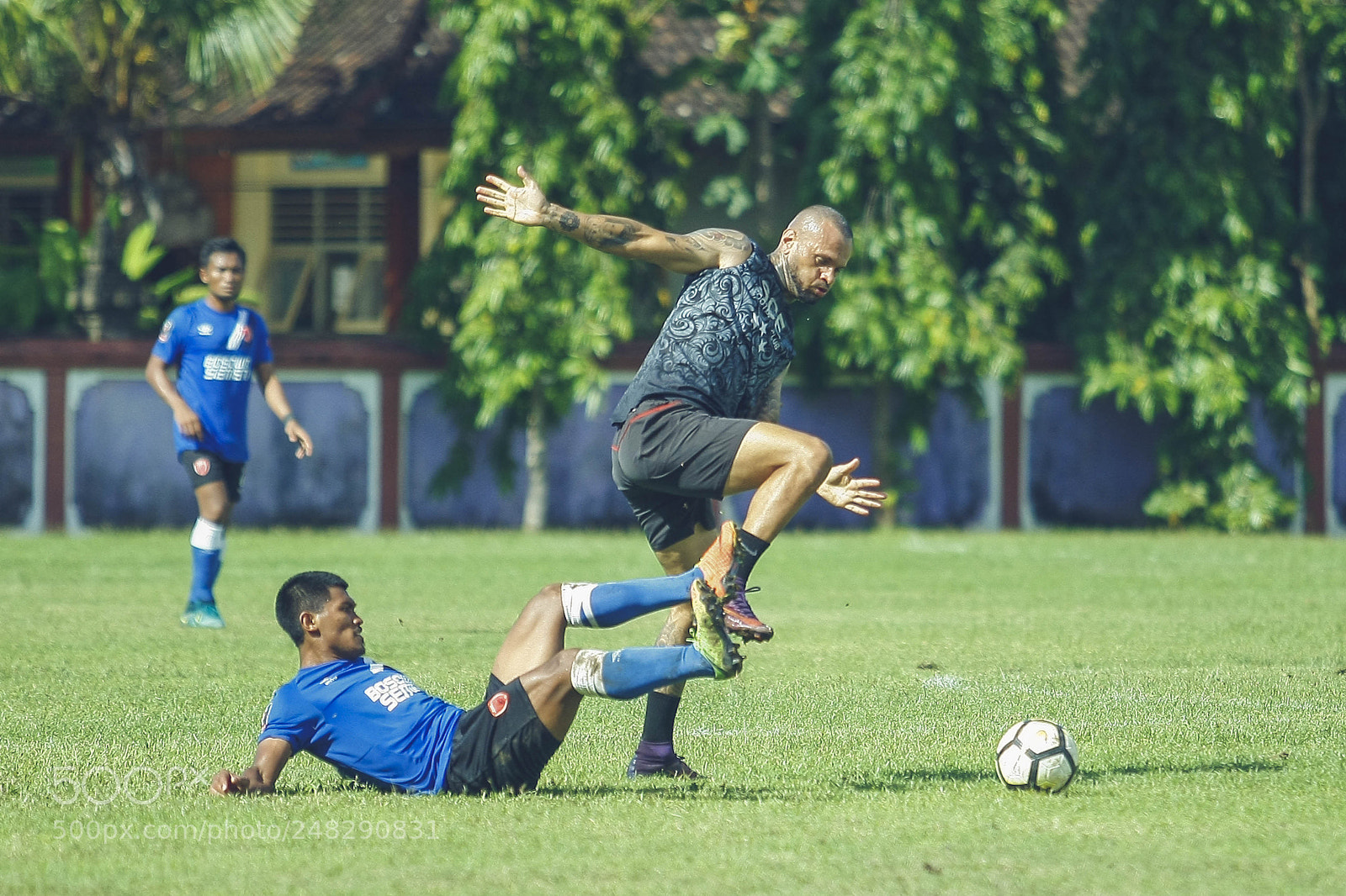 Canon EOS-1D Mark III sample photo. " not fouls " photography