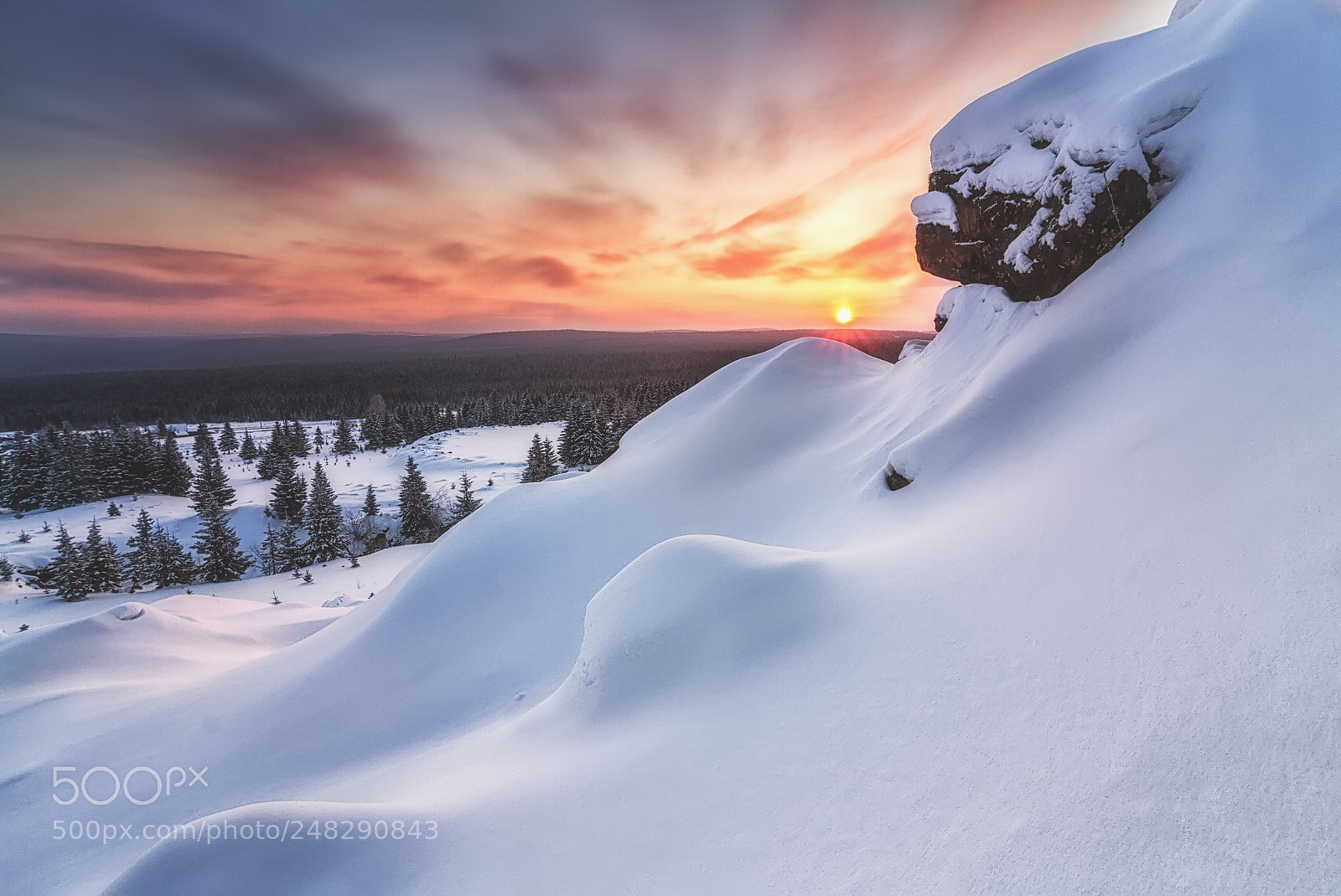 Canon EOS 7D sample photo. World of snow photography