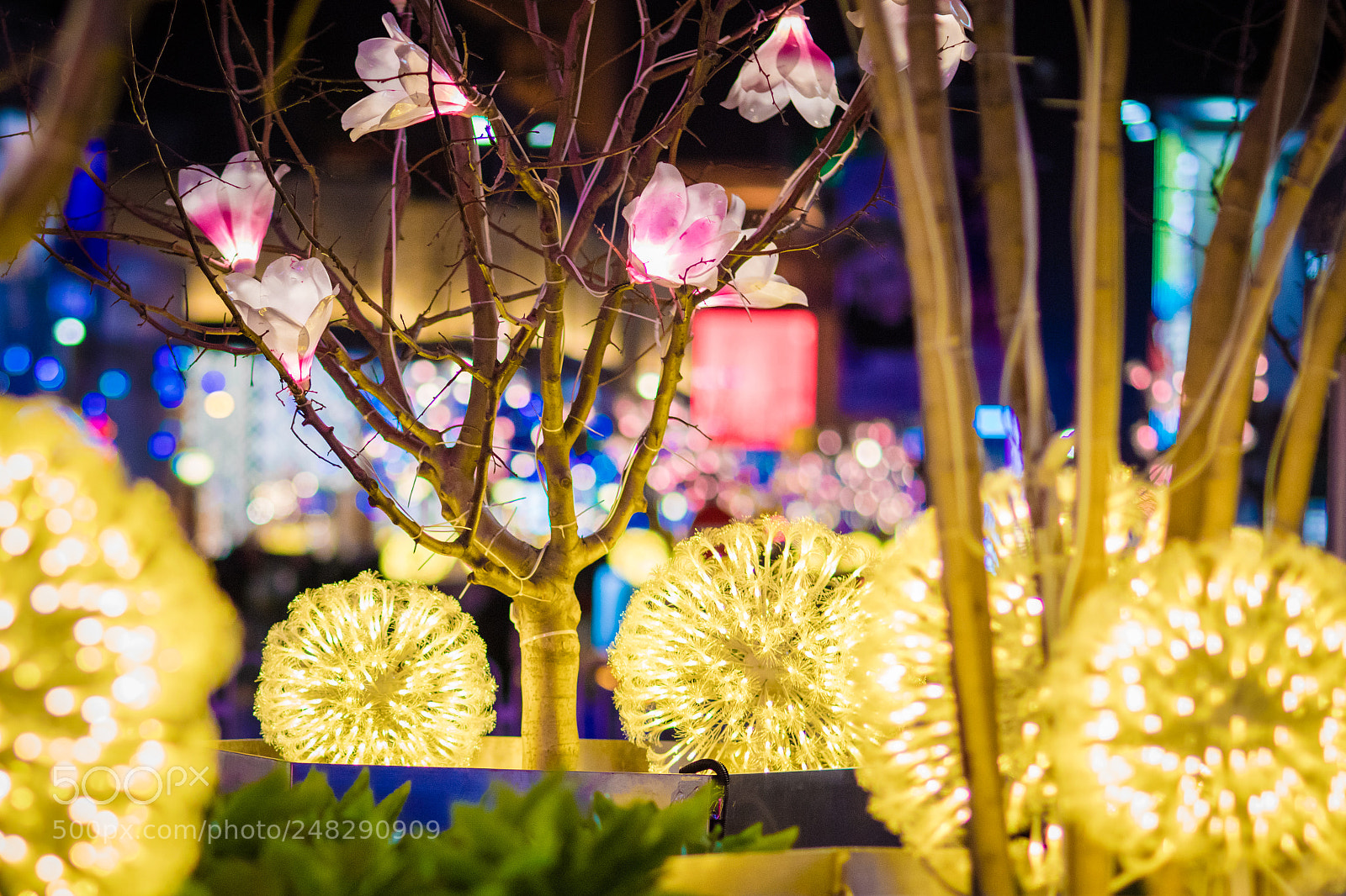 Canon EOS 5DS R sample photo. Eos ds r photography