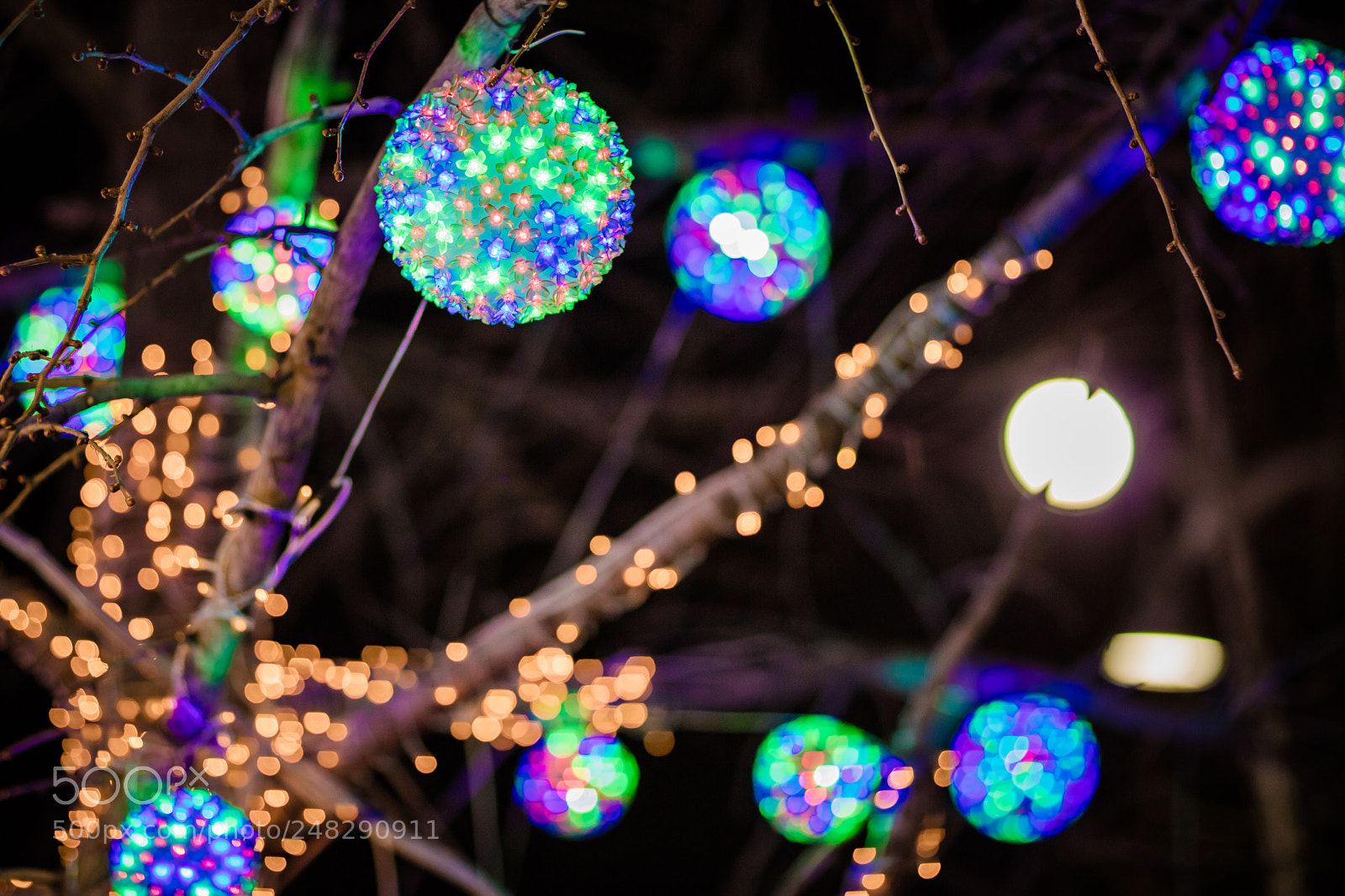 Canon EOS 5DS R sample photo. Eos ds r photography