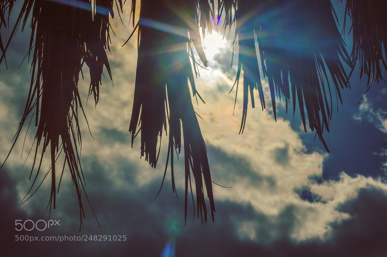 Canon EOS 750D (EOS Rebel T6i / EOS Kiss X8i) sample photo. Sun shone from the photography