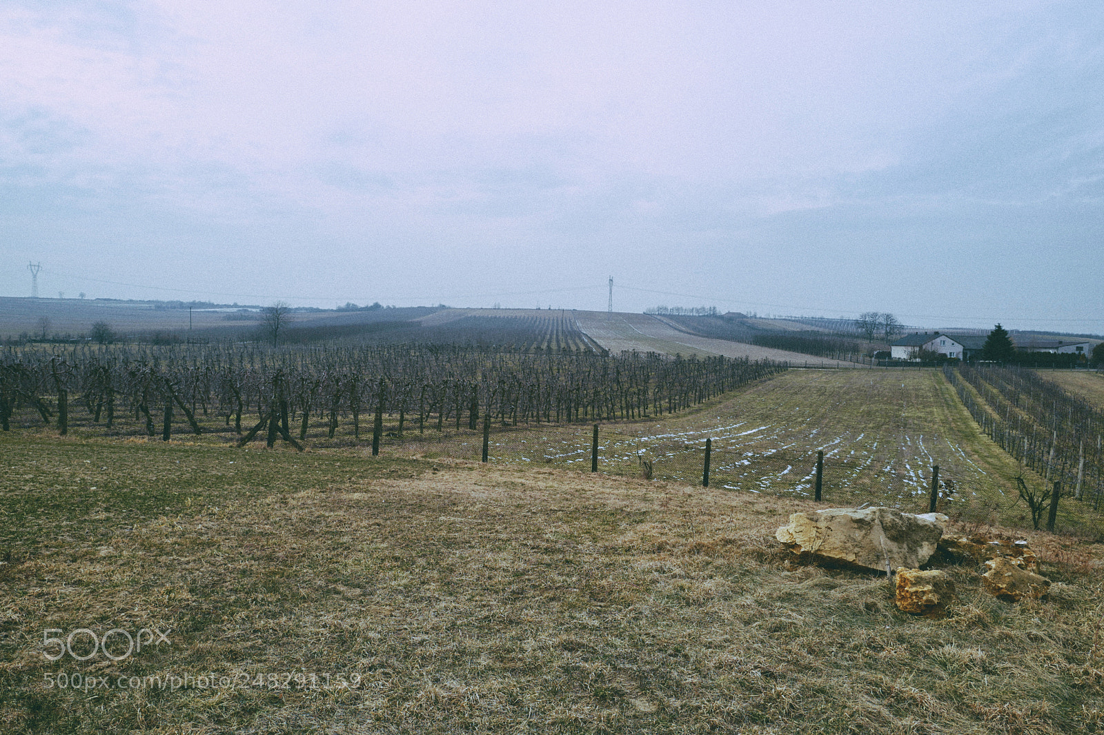 Leica Q (Typ 116) sample photo. Field photography