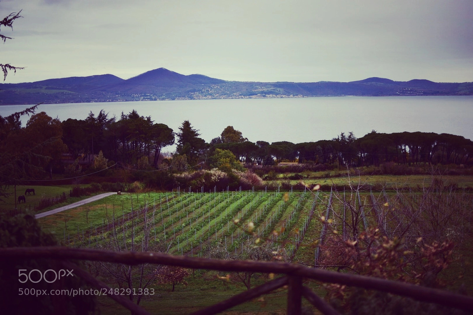 Nikon D5300 sample photo. Lago di bracciano photography