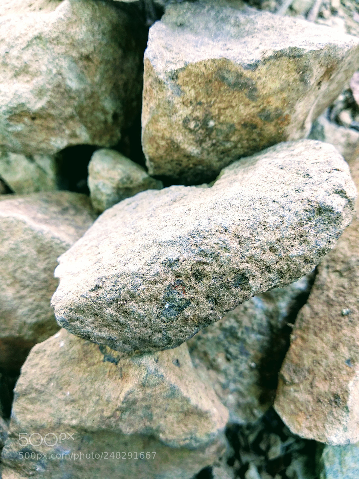 Xiaomi Mi A1 sample photo. Untitled photography
