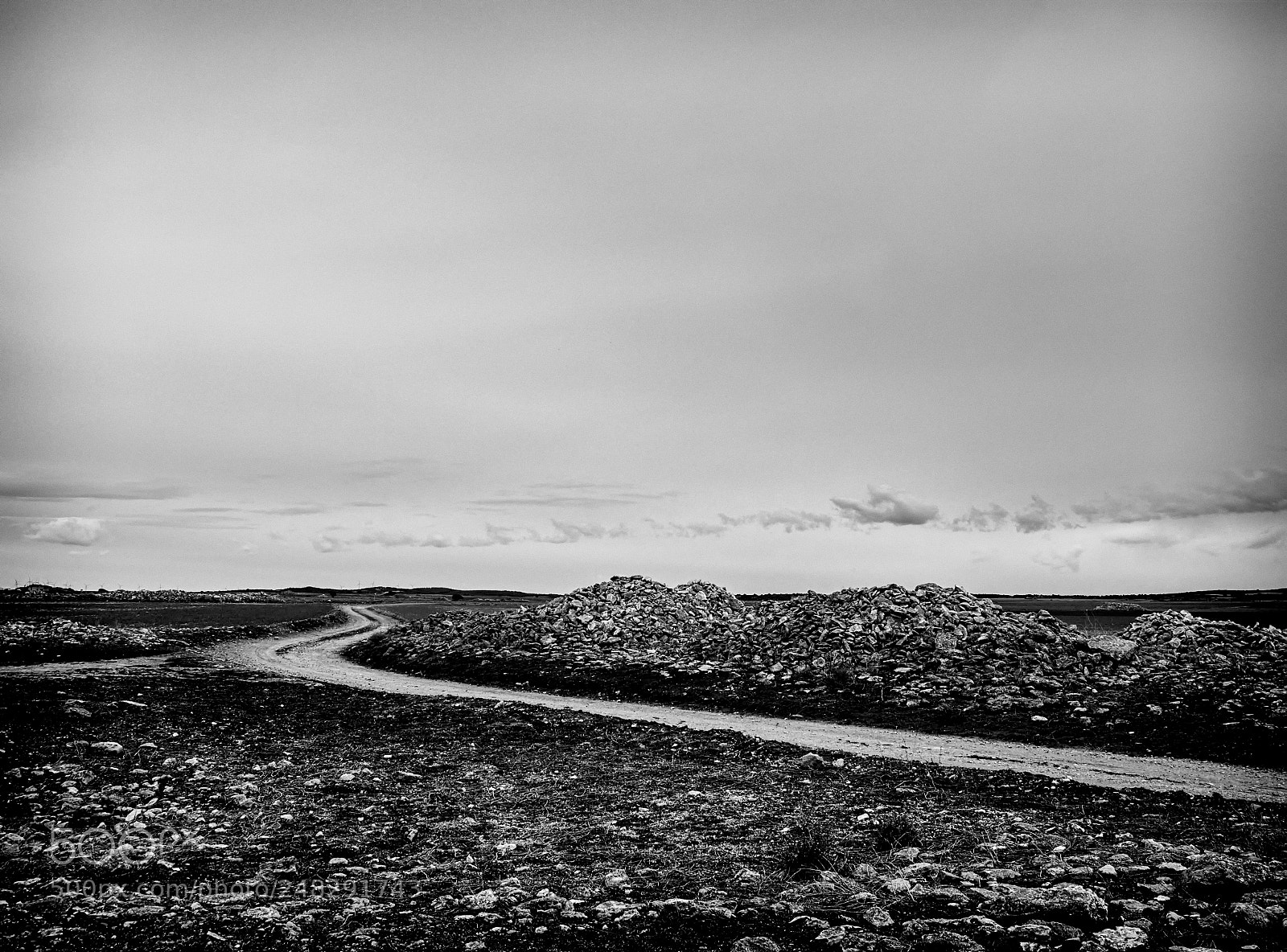 Olympus OM-D E-M1 Mark II sample photo. A path in the photography