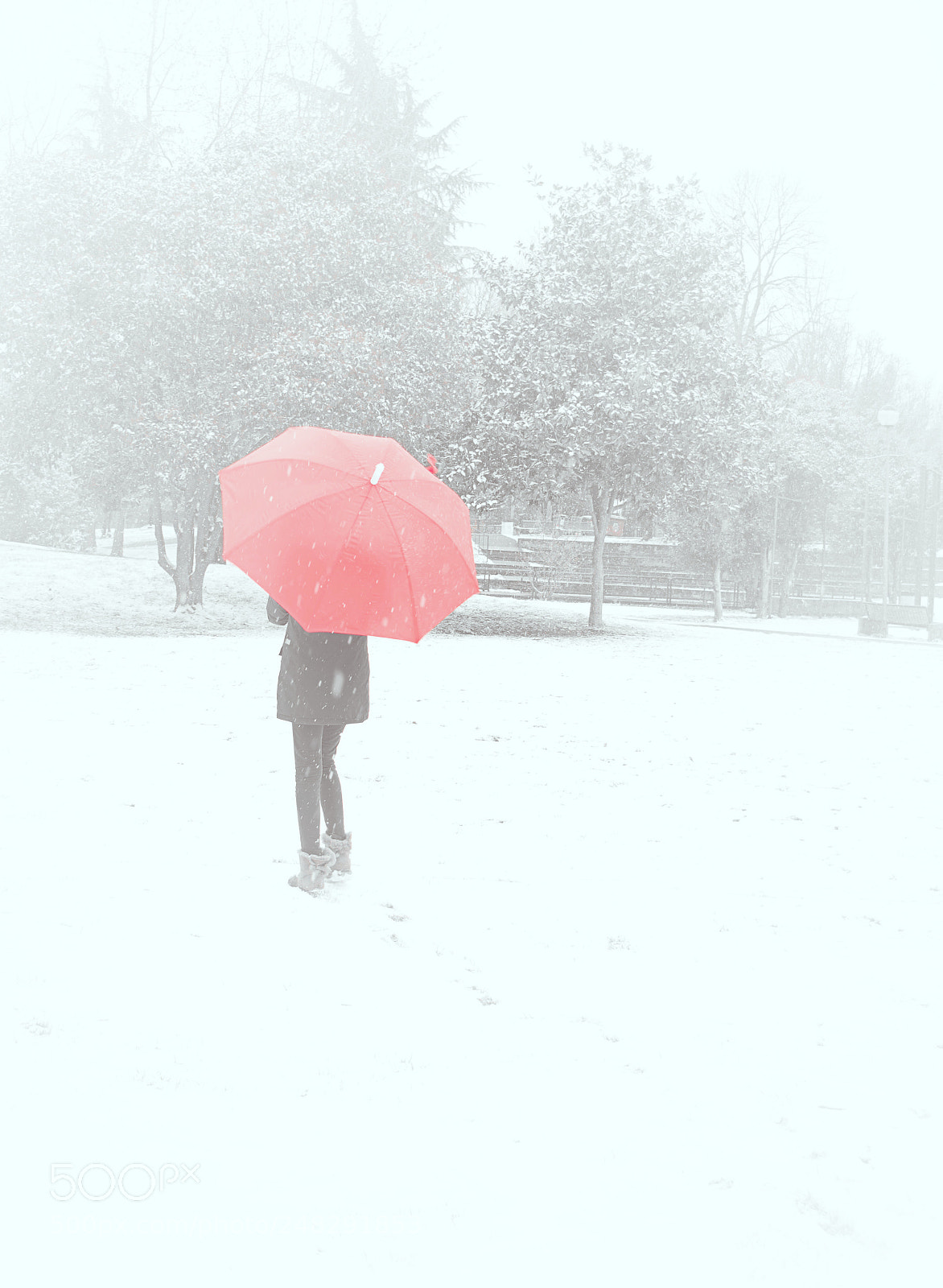 Nikon D5200 sample photo. Red photography