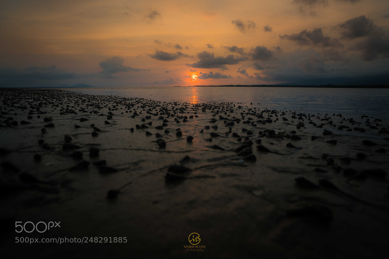 Sony a7R II sample photo. ជីវិត​ និងធម្មជាតិ ! life and nature ! photography