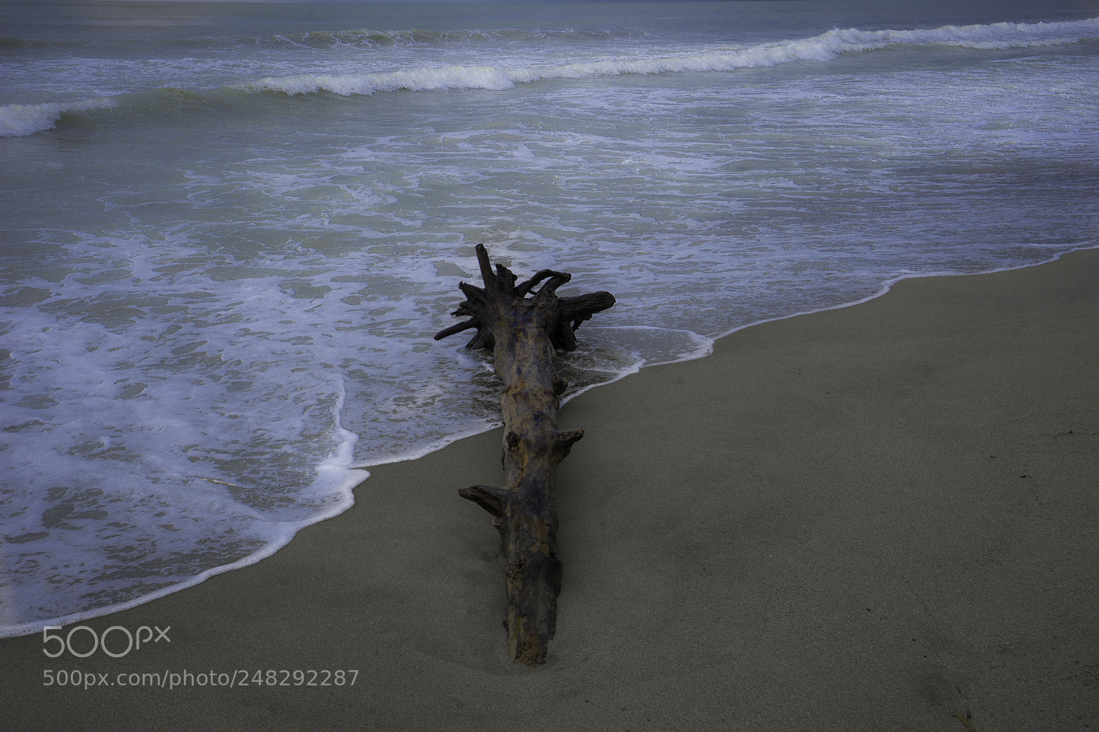 Sony a7 II sample photo. Vecchiano tre photography