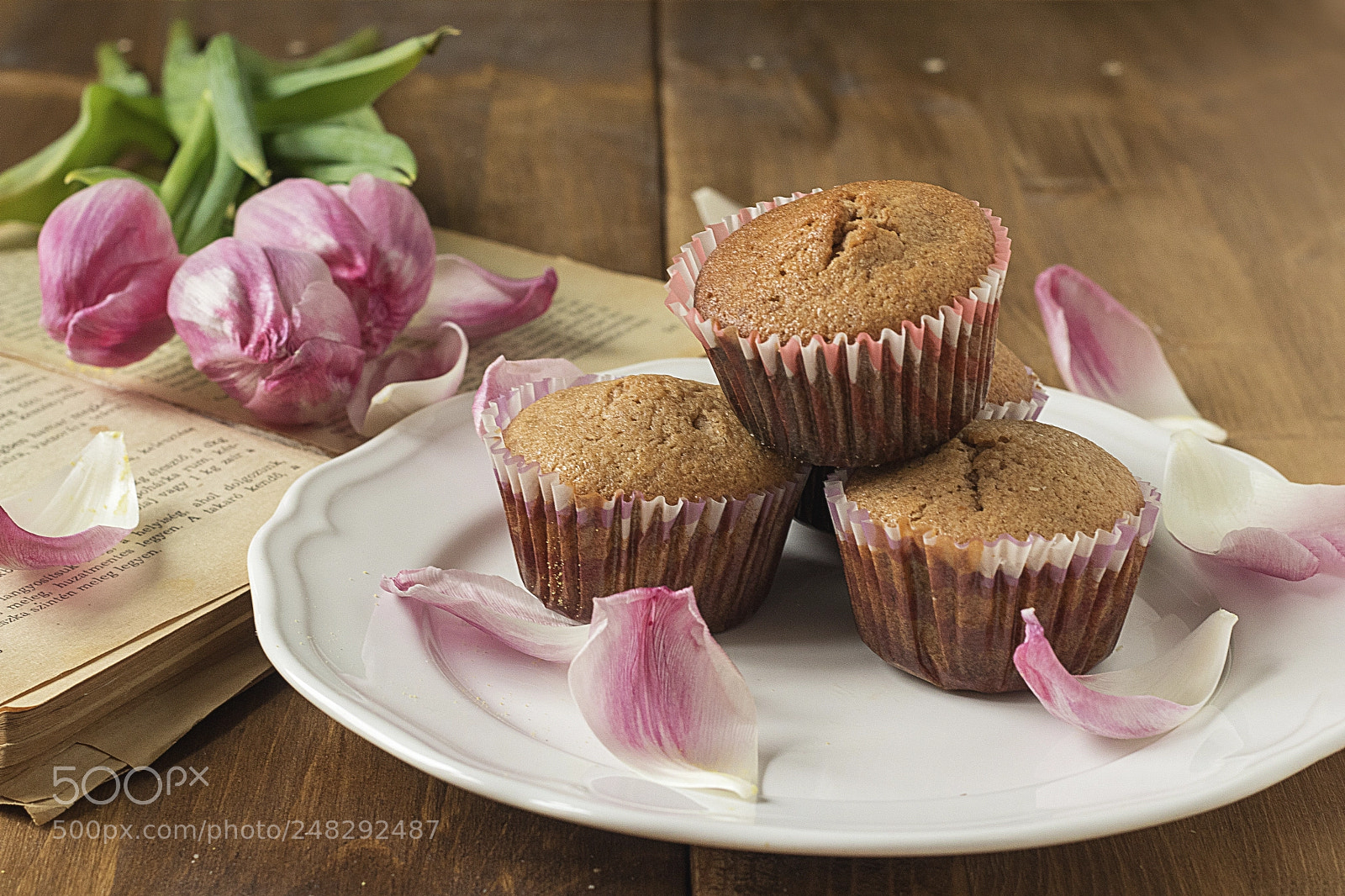 Canon EOS 80D sample photo. Muffin photography