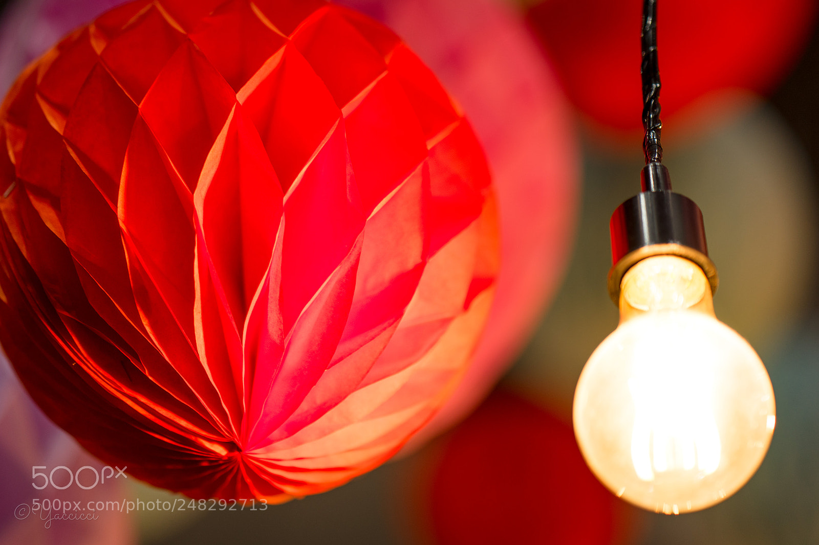 Sony a7 II sample photo. Origami photography