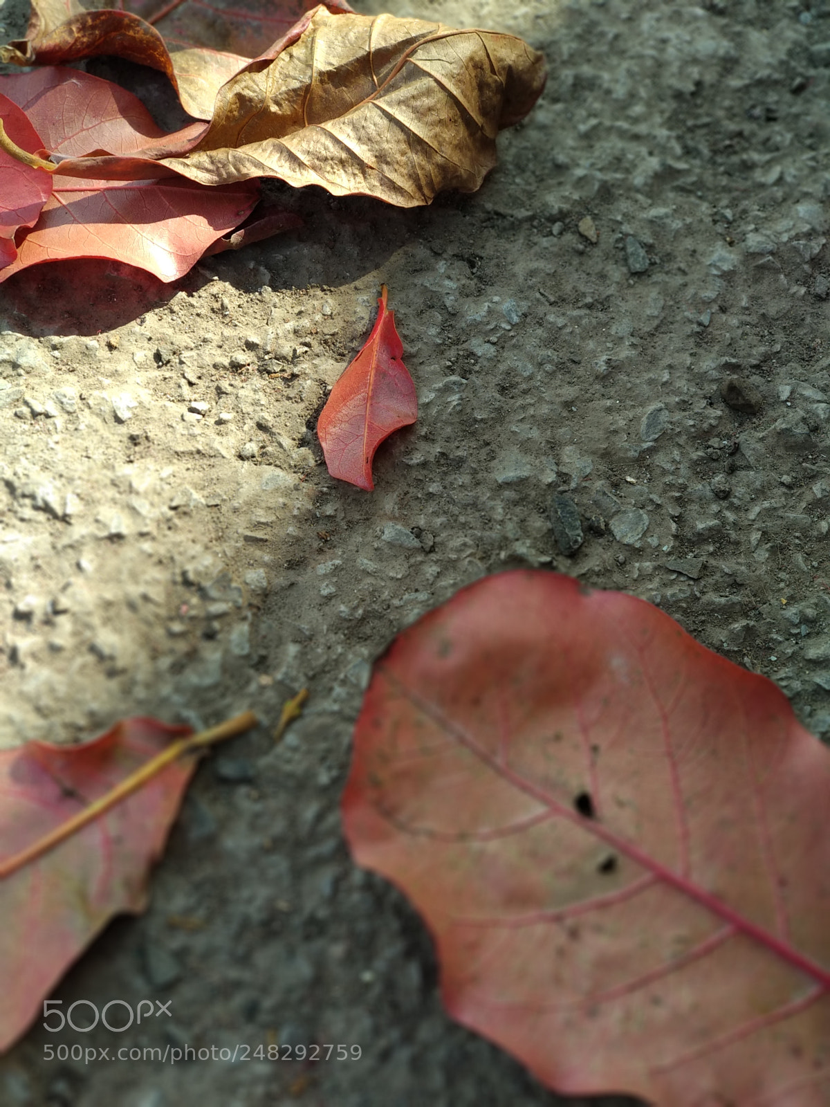 Xiaomi Mi A1 sample photo. Untitled photography