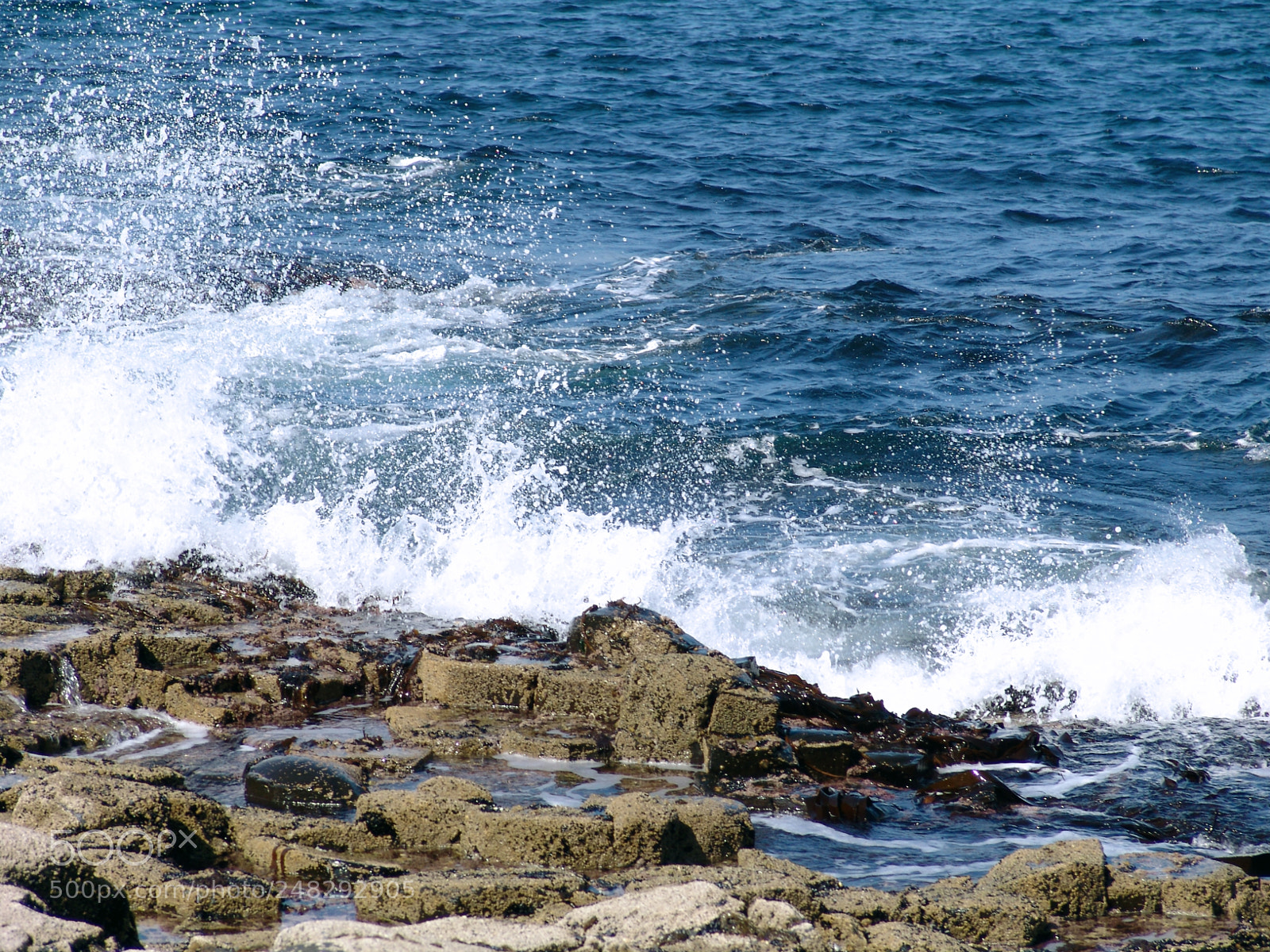 Sony DSC-F828 sample photo. Crashing waves photography