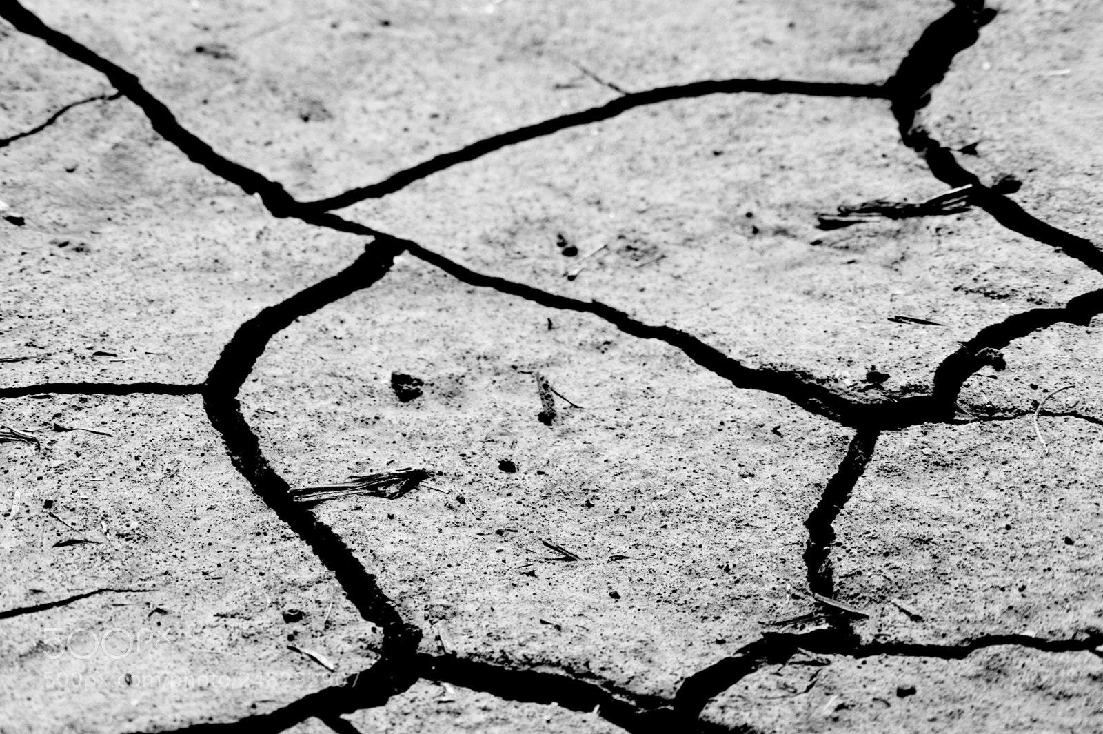 Sony Alpha DSLR-A350 sample photo. Cracked dirt photography