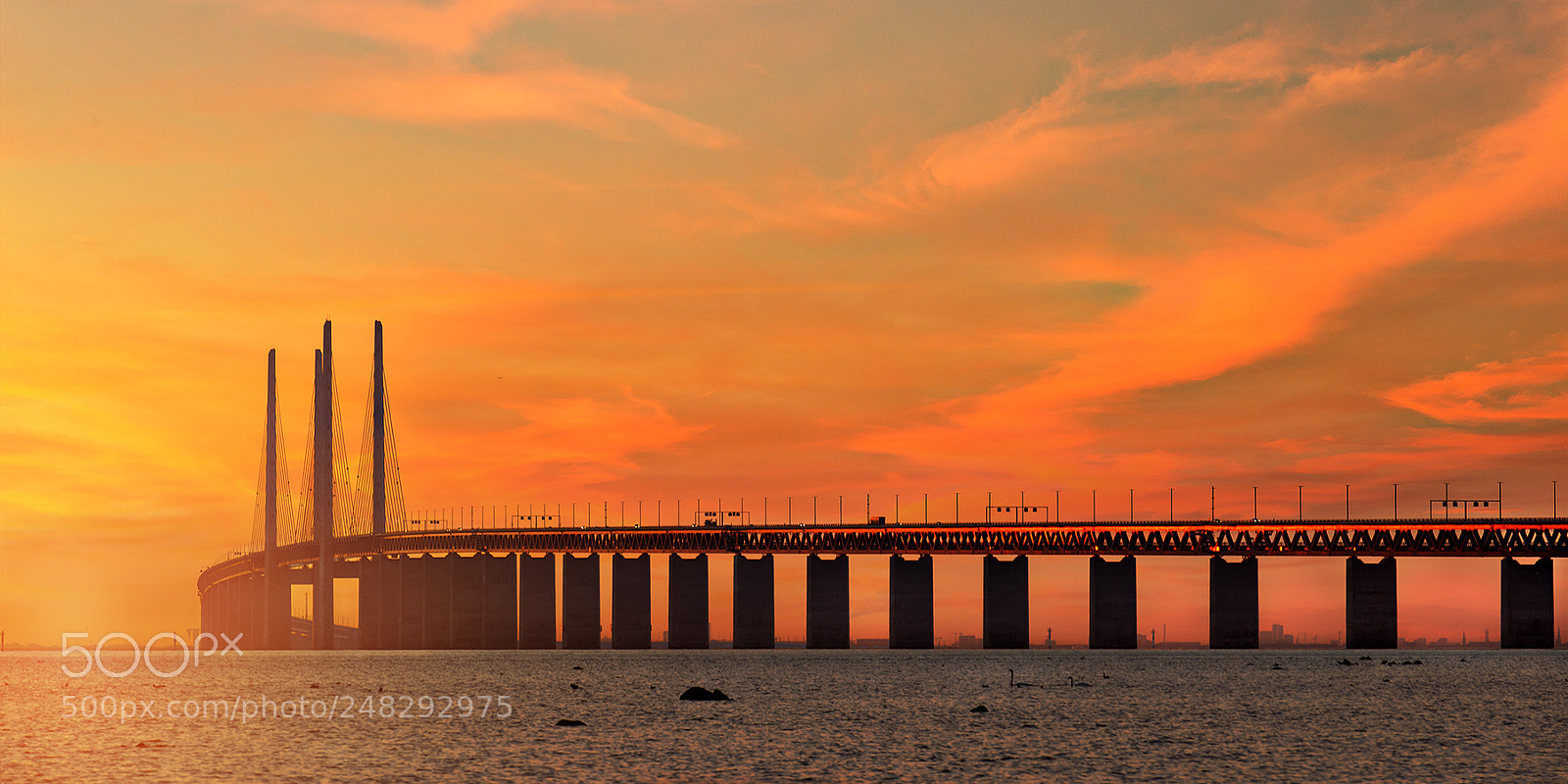 Nikon D800 sample photo. Öresundsbron. photography
