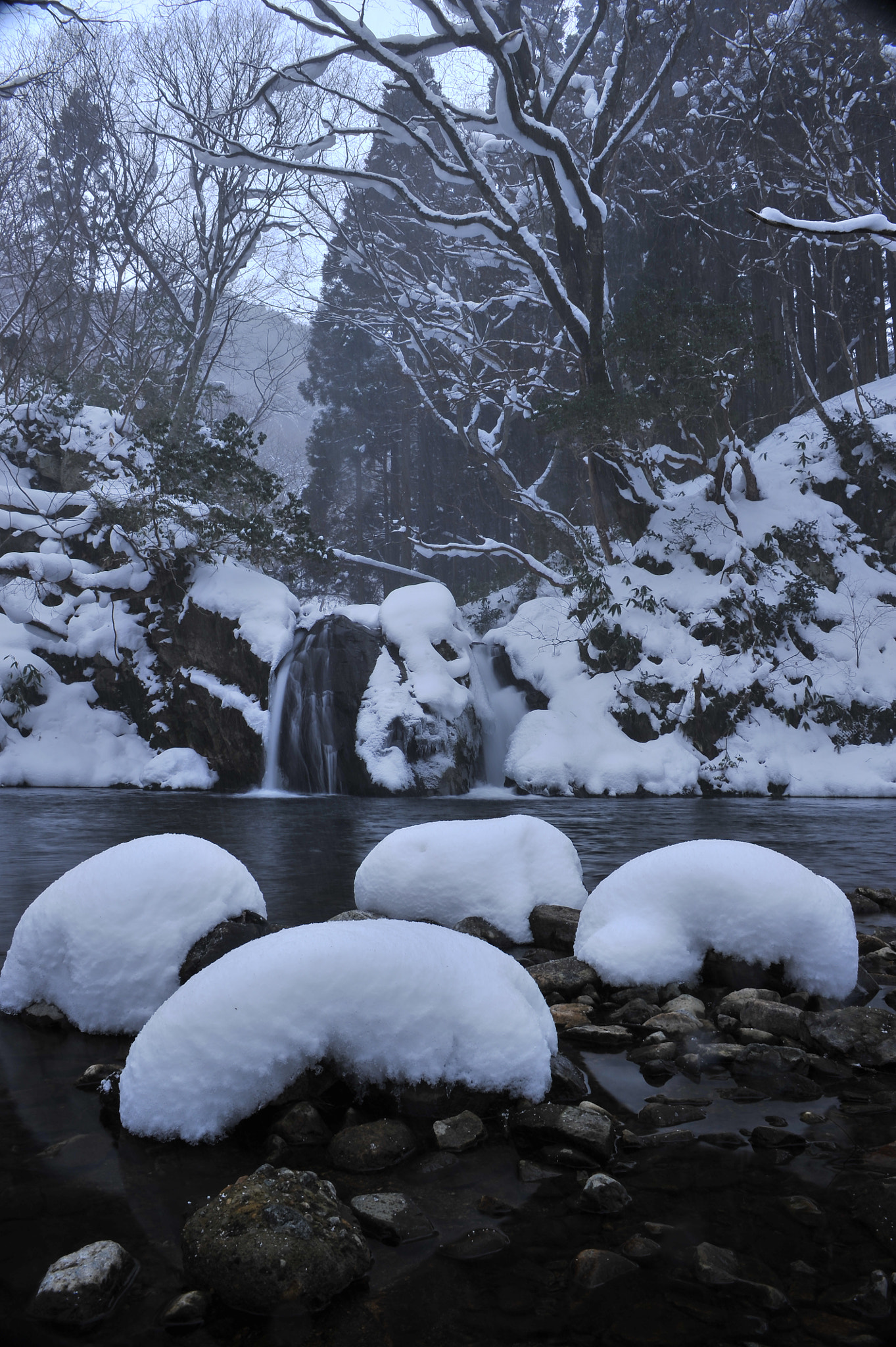 AF Zoom-Nikkor 28-85mm f/3.5-4.5 sample photo. Fill up photography