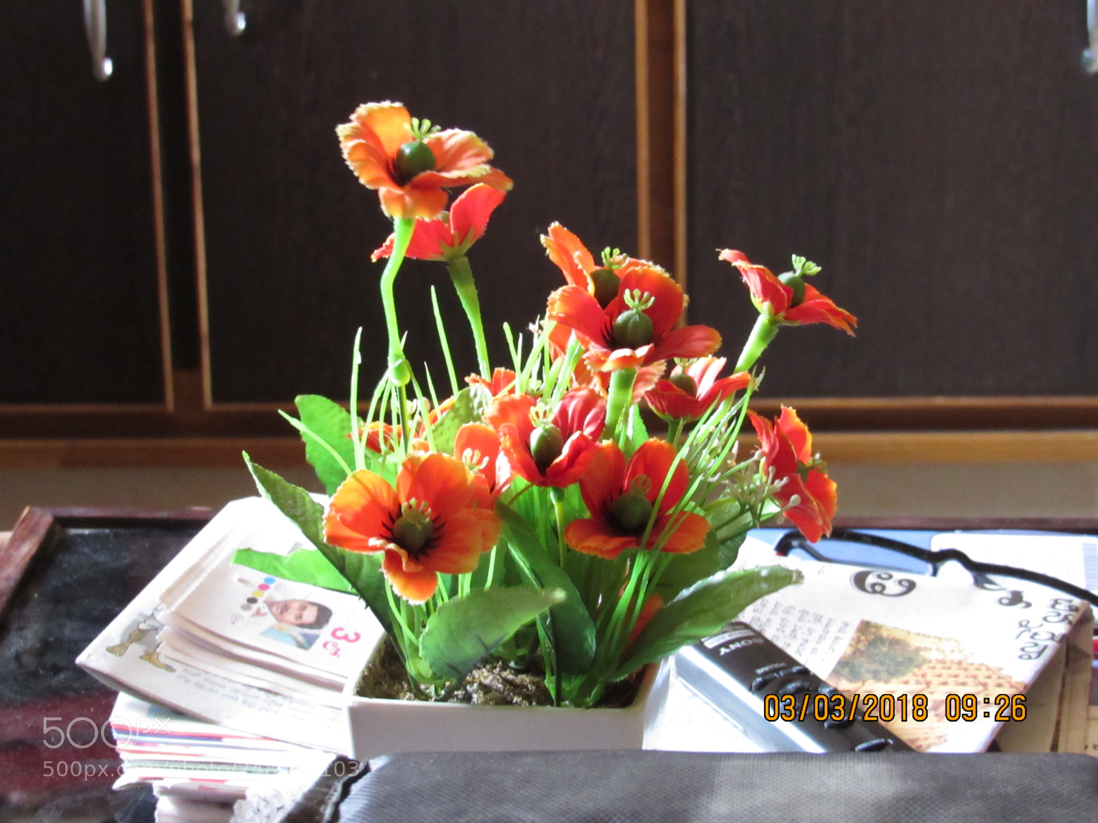 Canon PowerShot SX530 HS sample photo. Aa creative works photography