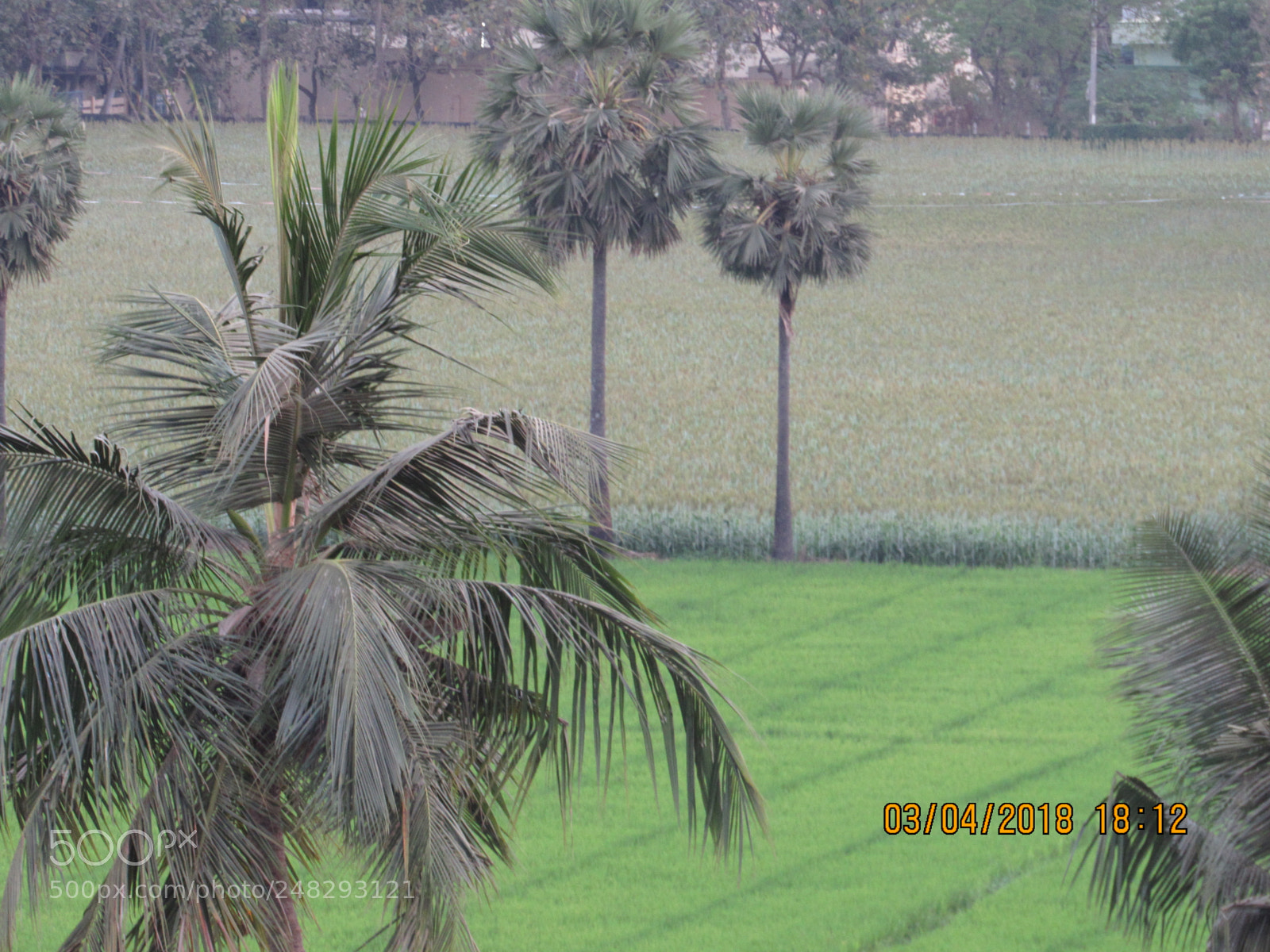 Canon PowerShot SX530 HS sample photo. Aa creative works photography