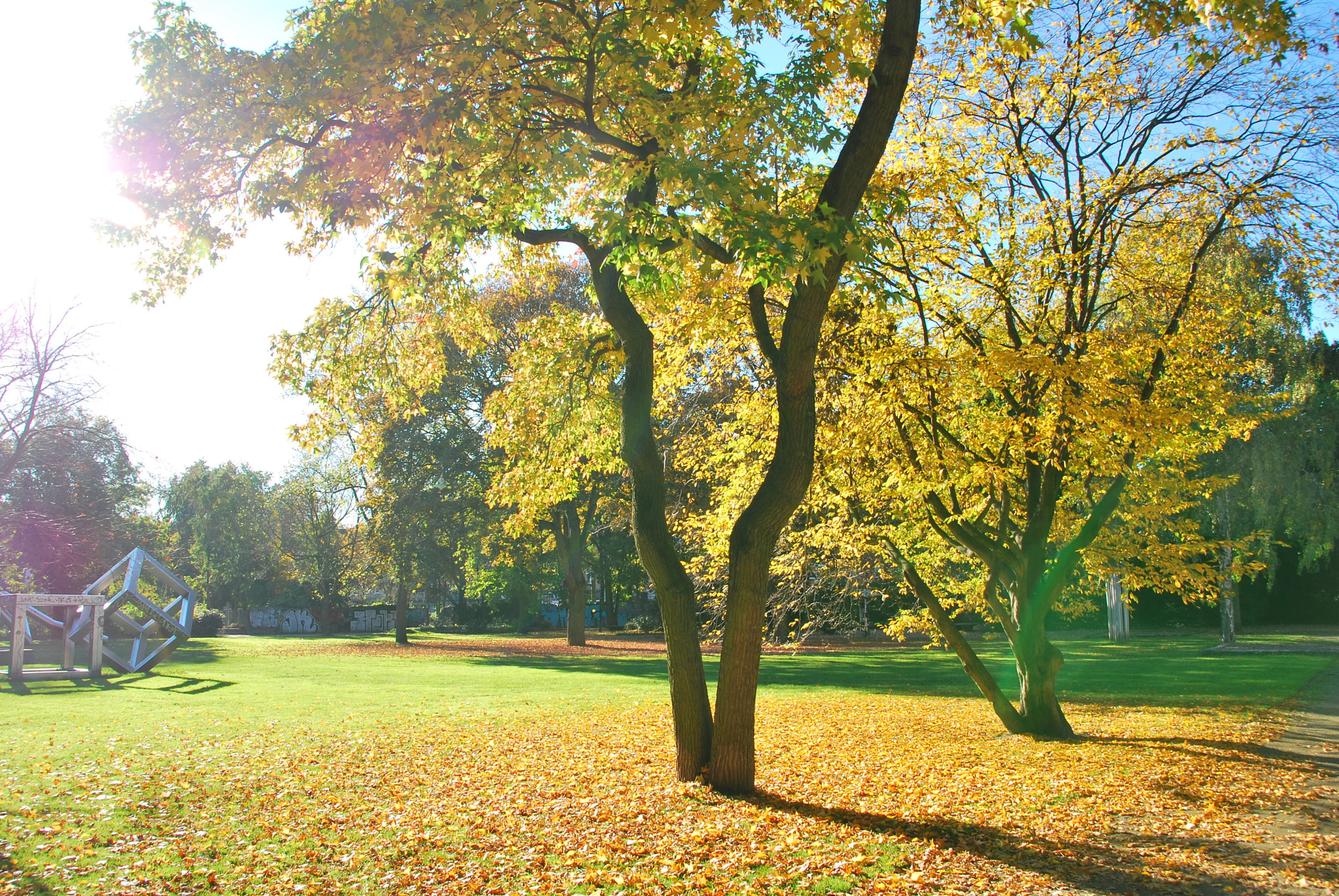 Nikon D60 sample photo. Herbstsonne in duisburg photography