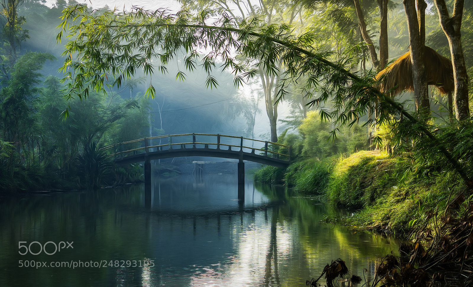 Sony a7 II sample photo. Bridge & mist photography