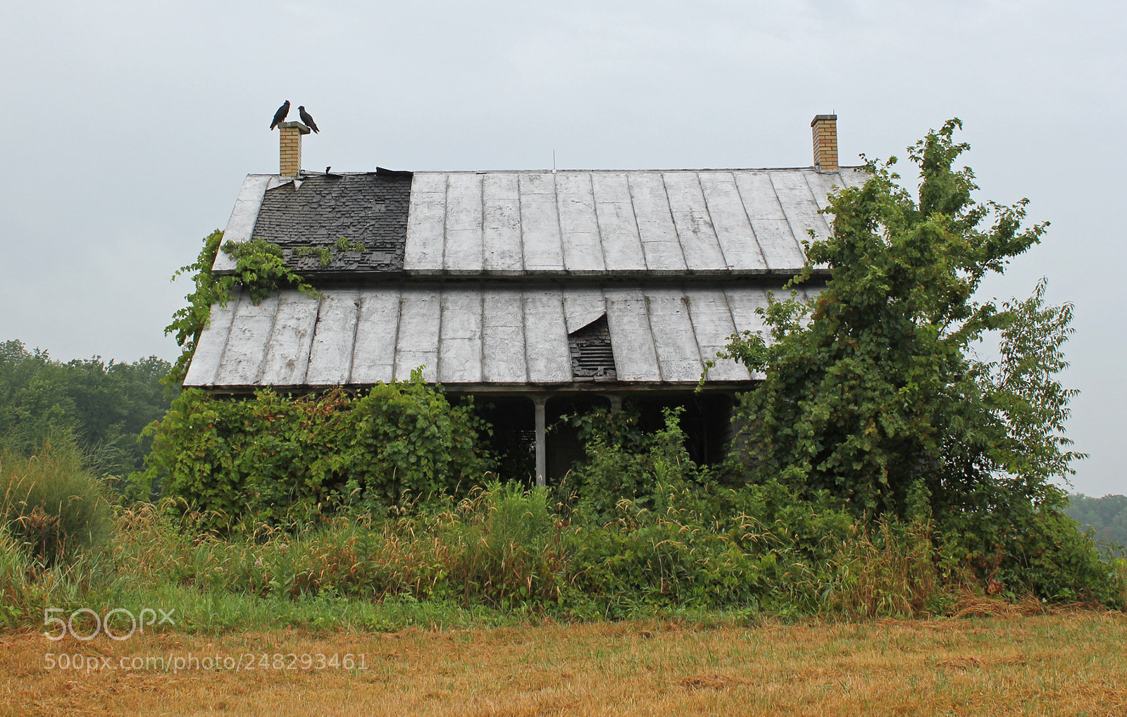 Canon EOS 550D (EOS Rebel T2i / EOS Kiss X4) sample photo. Gangluff house crawford county photography