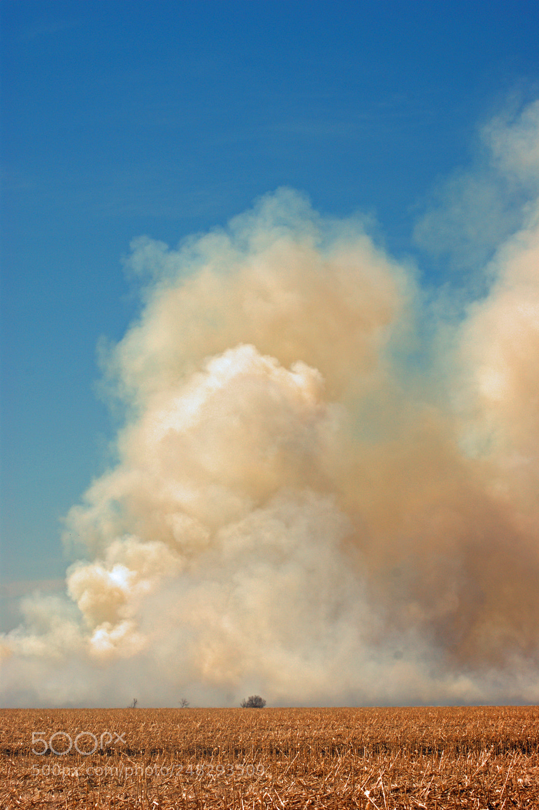Sony Alpha DSLR-A350 sample photo. Dusty storm photography