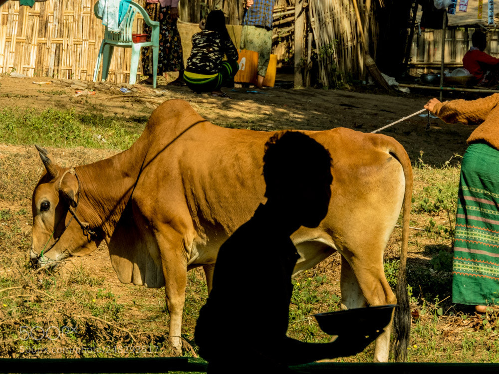Nikon Coolpix B700 sample photo. Rural myanmar photography