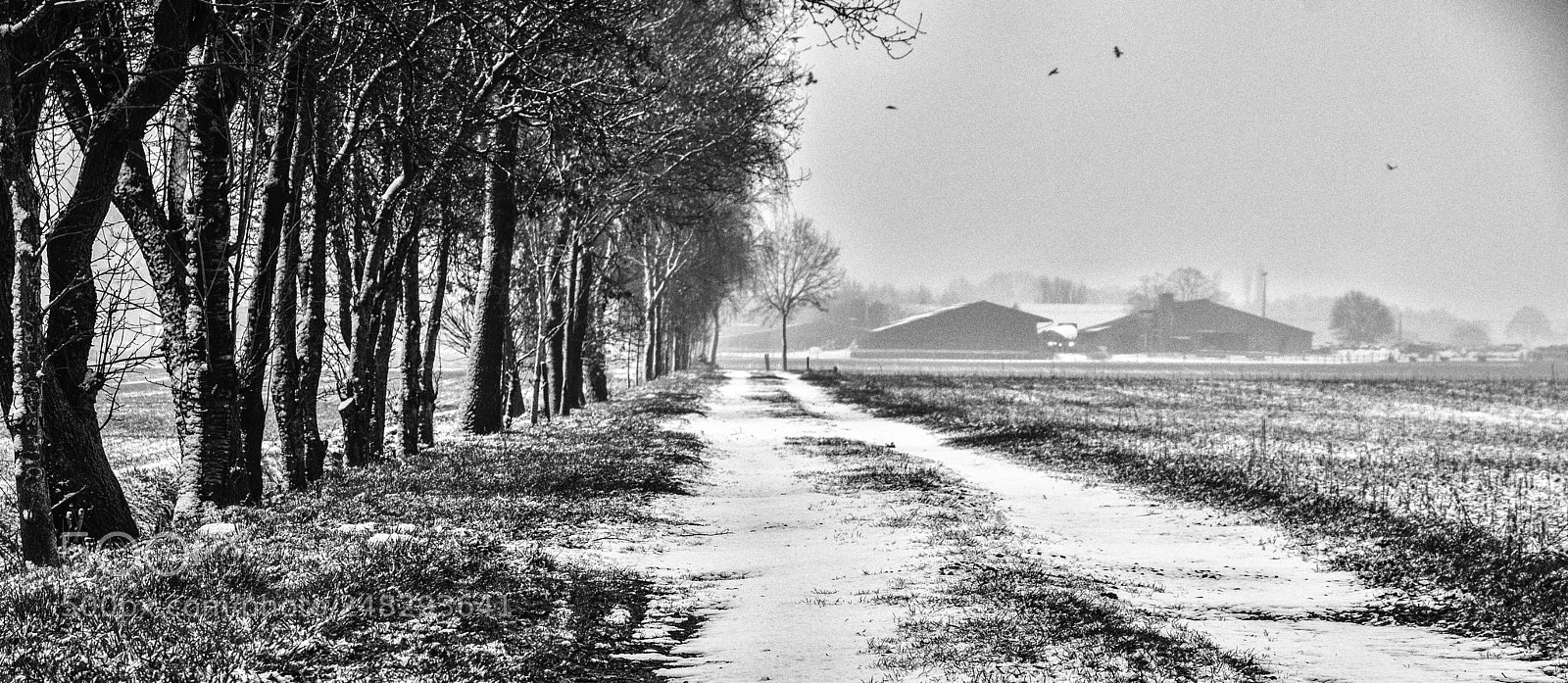 Nikon D5300 sample photo. Wintermorning photography