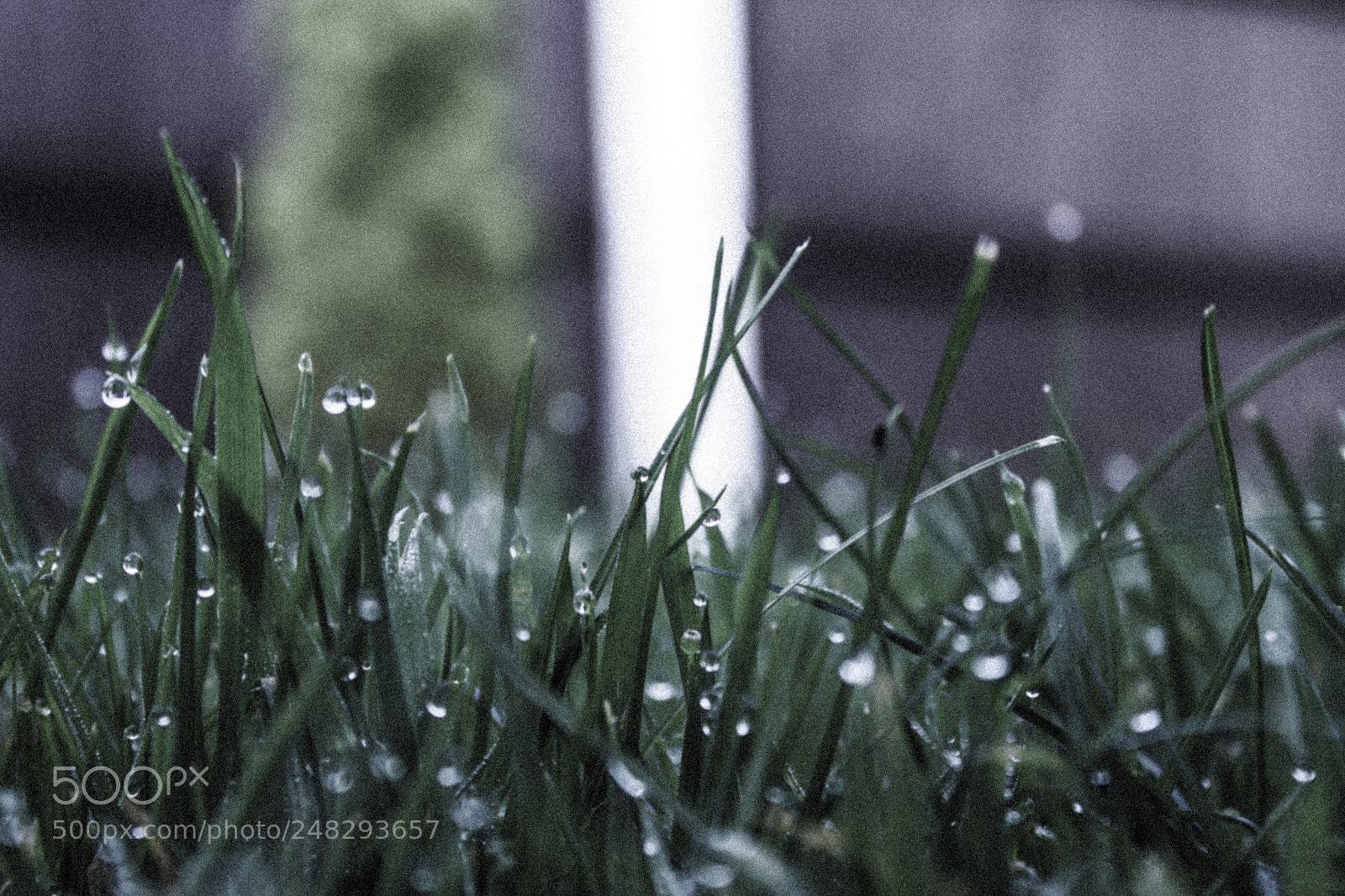 Canon EOS 650D (EOS Rebel T4i / EOS Kiss X6i) sample photo. Nature wonders photography