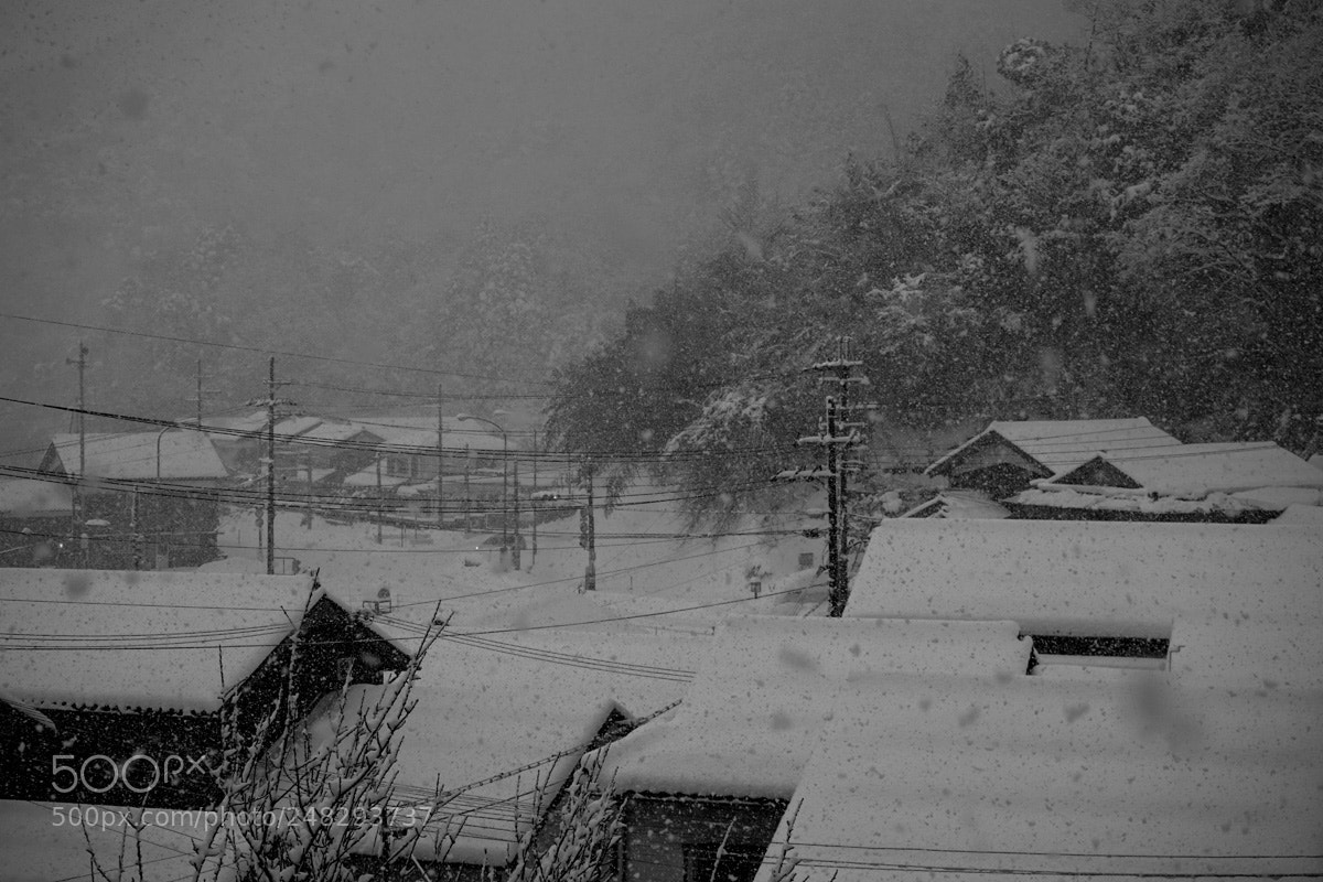 Sony a7 sample photo. Snow falls Ⅱ-12 photography