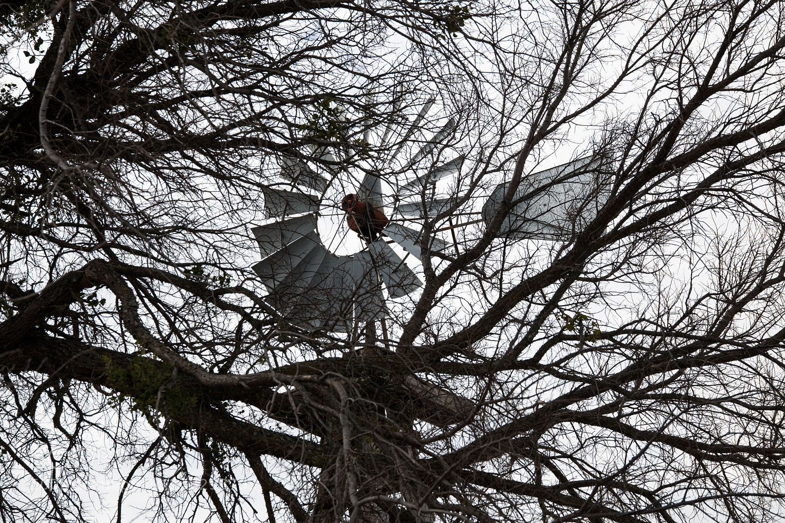 Nikon D850 sample photo. 38570354070.jpg photography