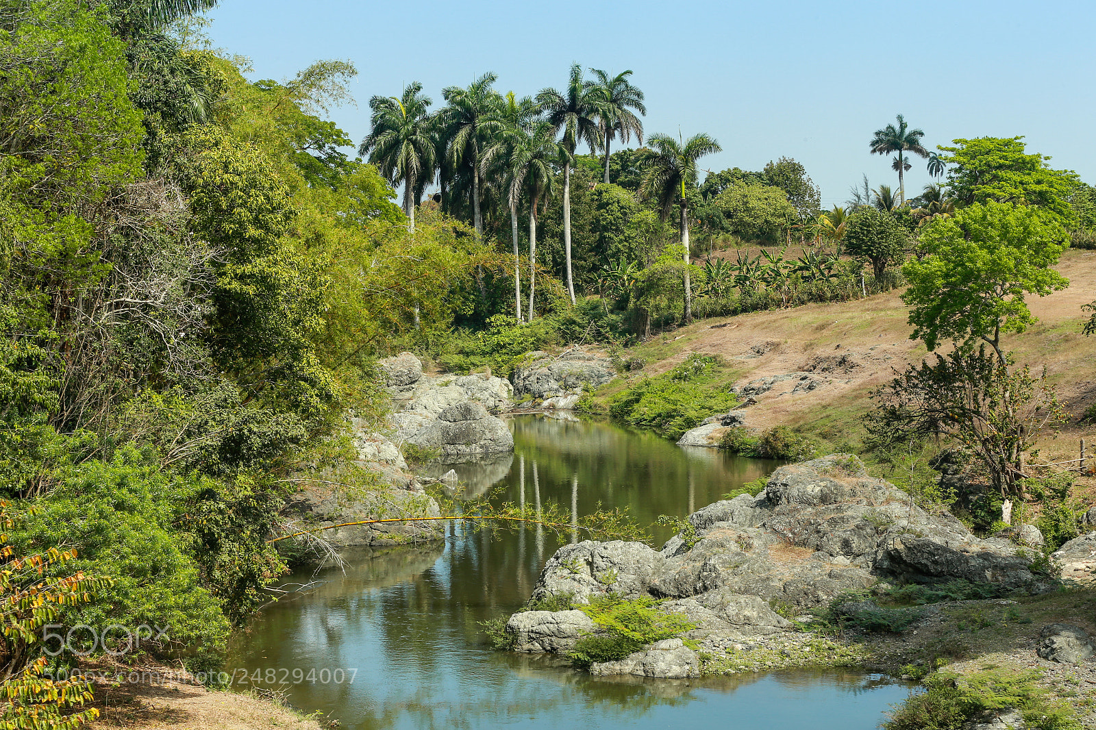 Canon EOS-1D X sample photo. Cuban nature photography