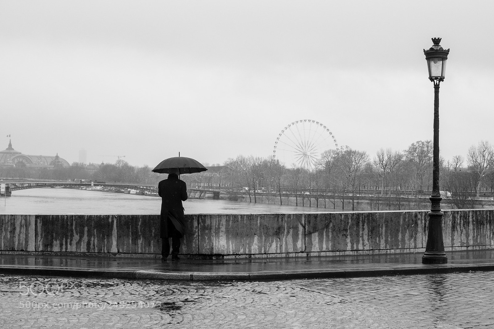 Nikon D5200 sample photo. Paris under the rain photography