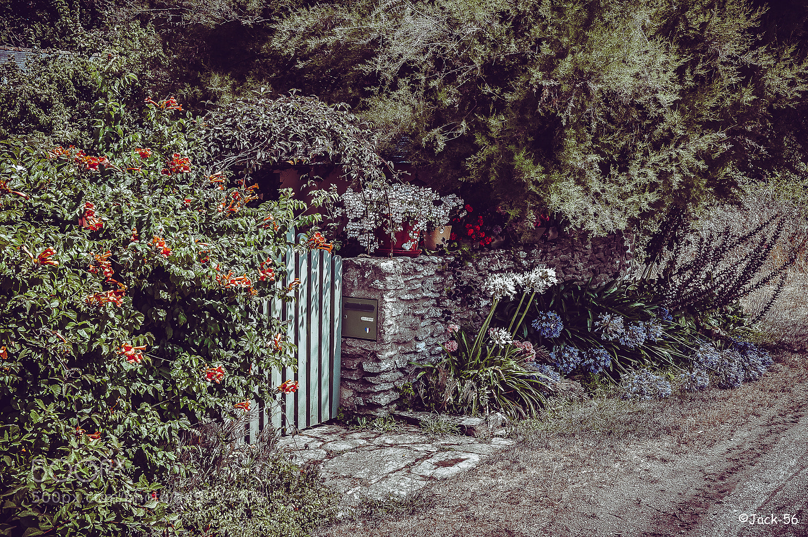 Nikon D700 sample photo. Petit chemin de groix photography