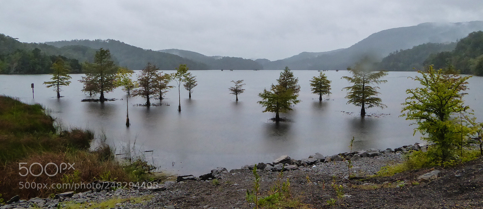 Panasonic Lumix DMC-ZS50 (Lumix DMC-TZ70) sample photo. Usa photography