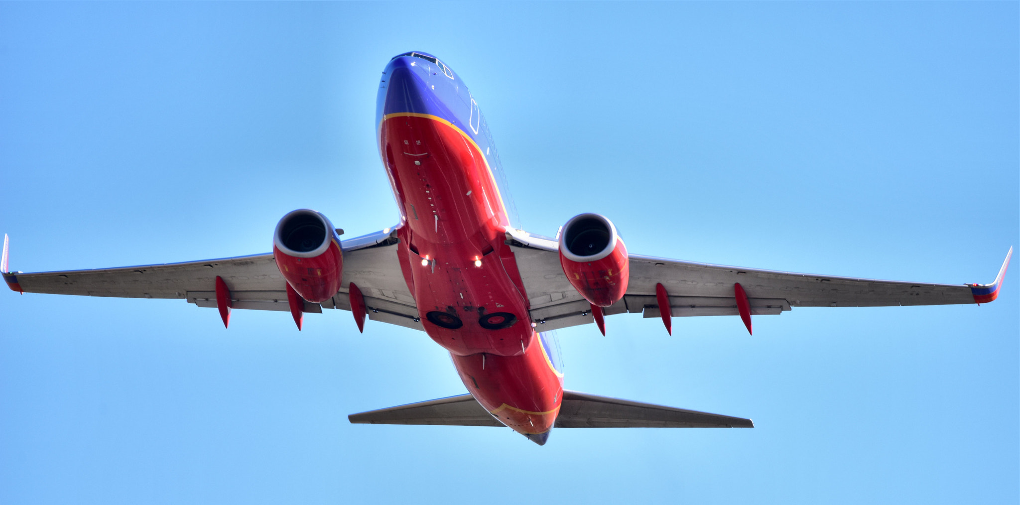 Sigma 150-600mm F5-6.3 DG OS HSM | C sample photo. Southwest taking off photography
