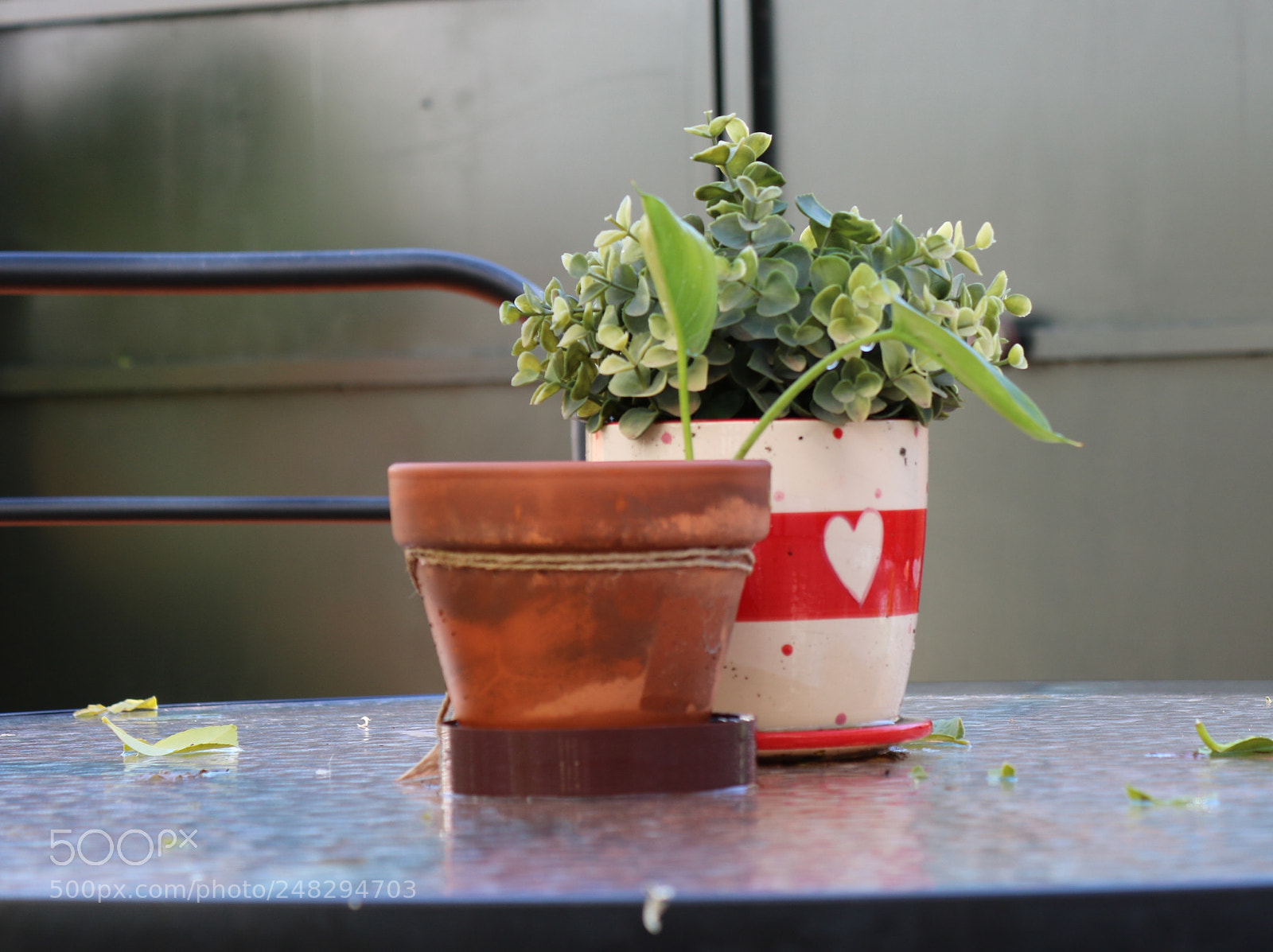 Canon EOS 750D (EOS Rebel T6i / EOS Kiss X8i) sample photo. Untitled photography