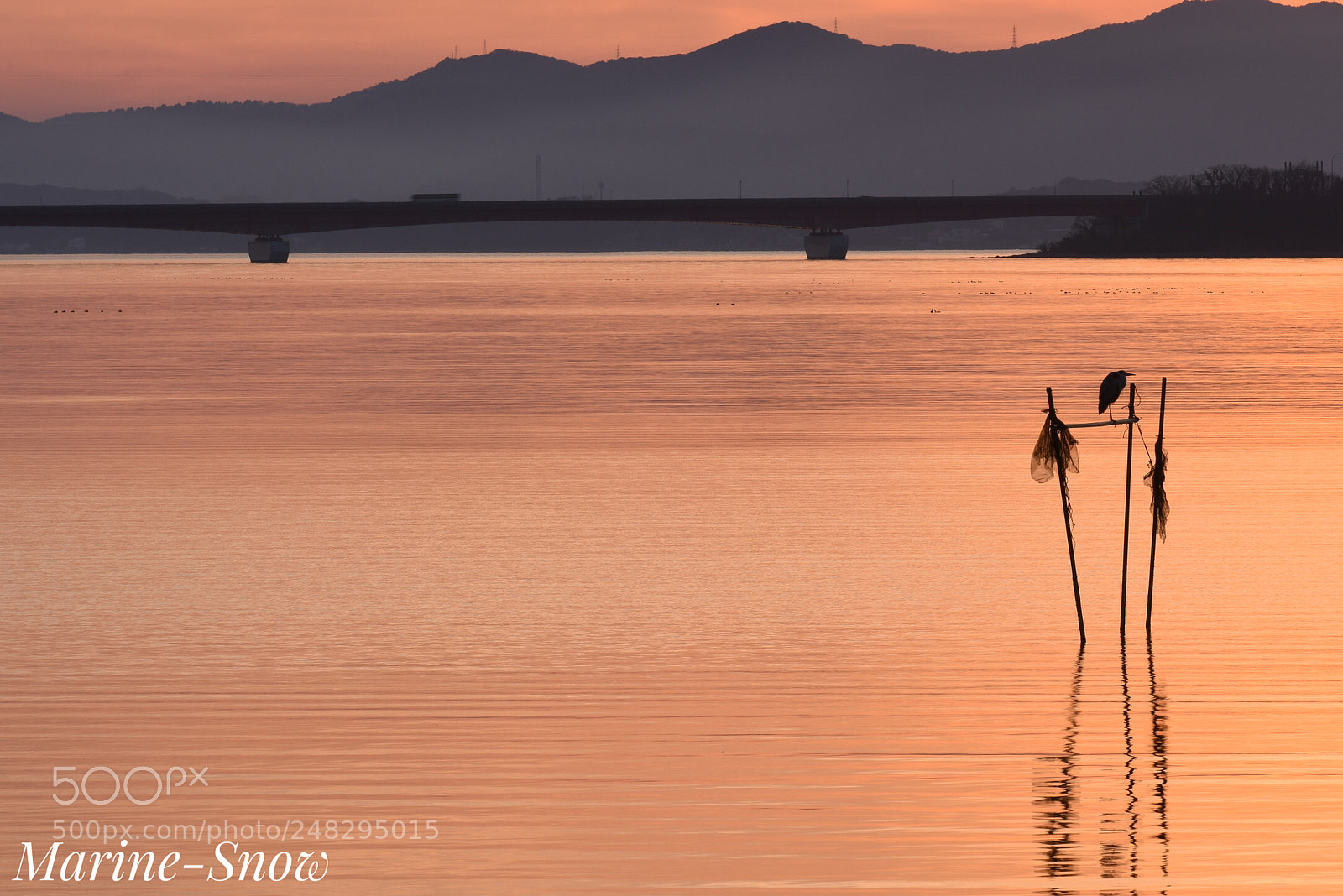 Nikon D7200 sample photo. Golden time photography