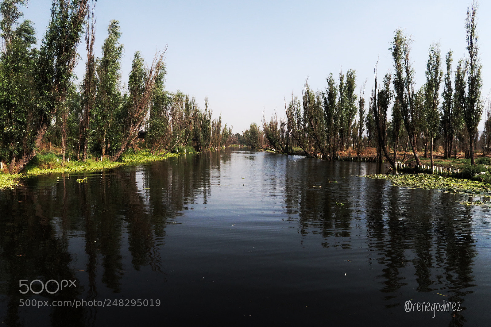 Canon PowerShot G7 X Mark II sample photo. Xochimilco, méxico photography