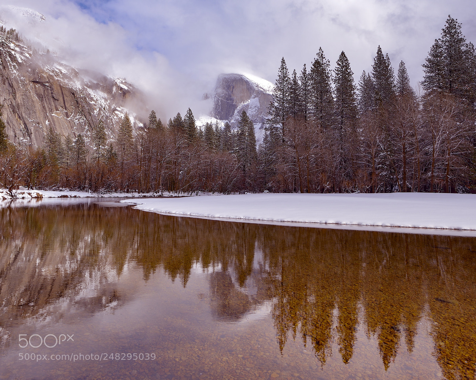 Nikon D800E sample photo. Yosemite afternoon photography