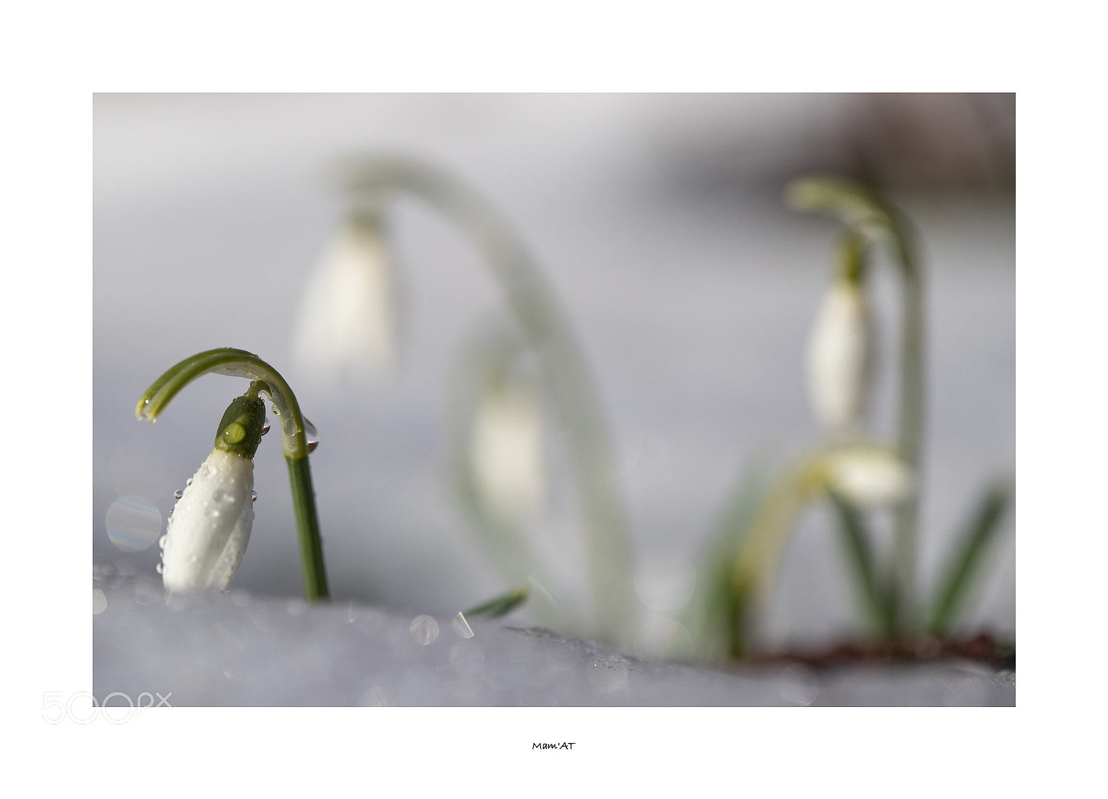 Canon EOS 6D Mark II sample photo. Multiple photography