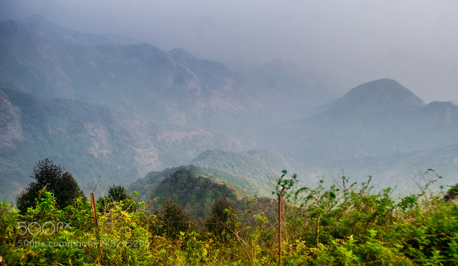 Nikon D5100 sample photo. Sights unseen photography