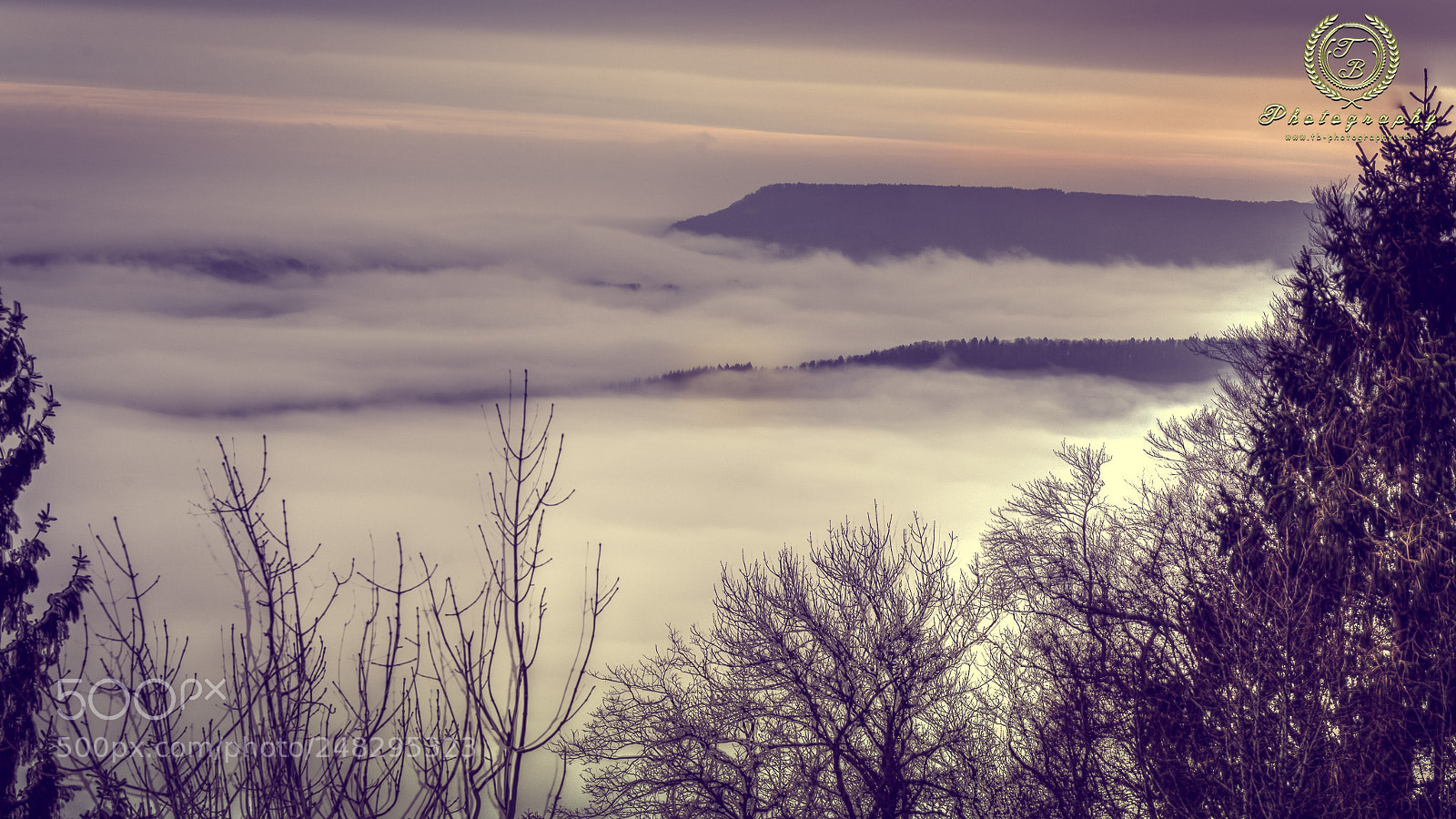 Nikon D800 sample photo. Zollernalbkreis versinkt im nebel photography